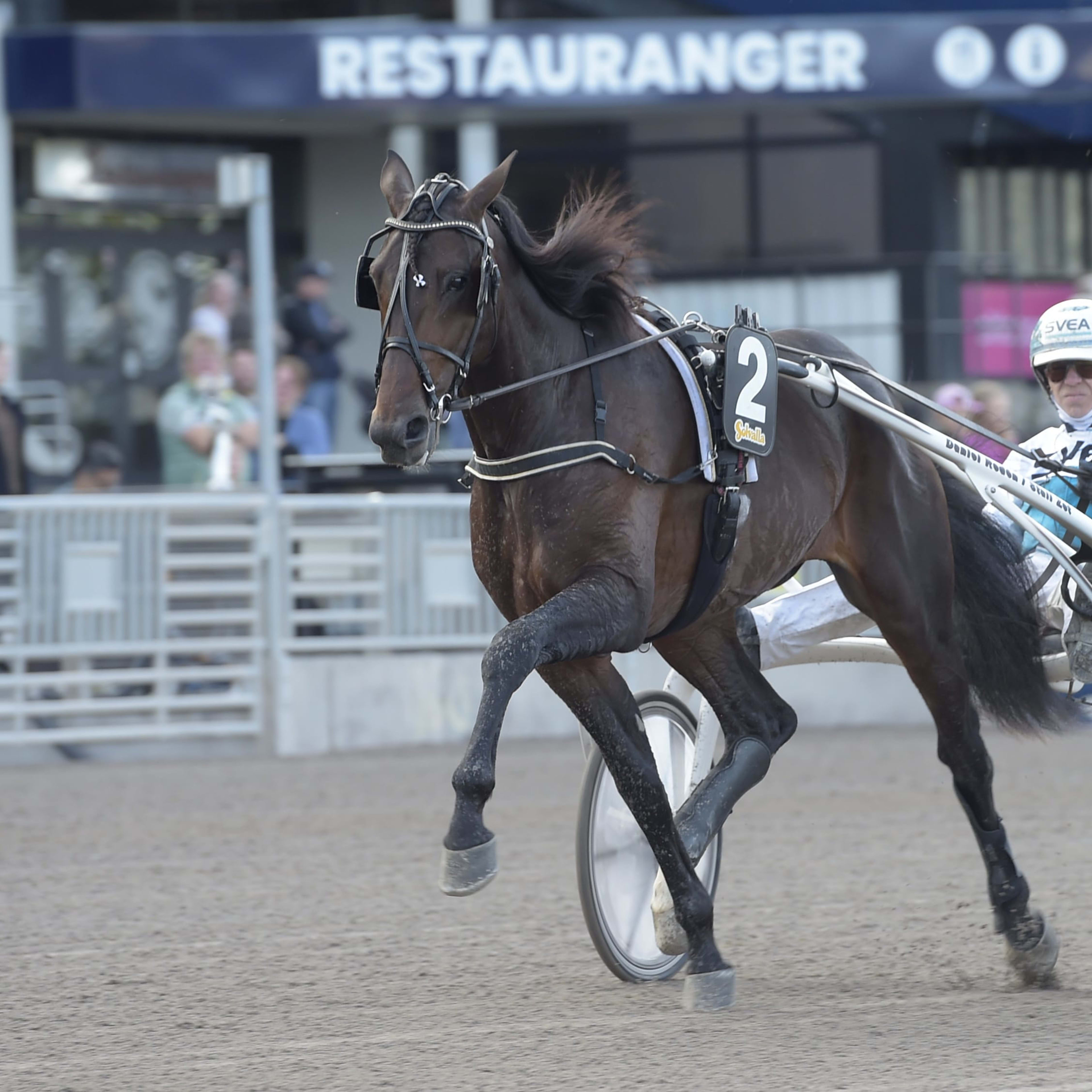 Foto: TR BILD