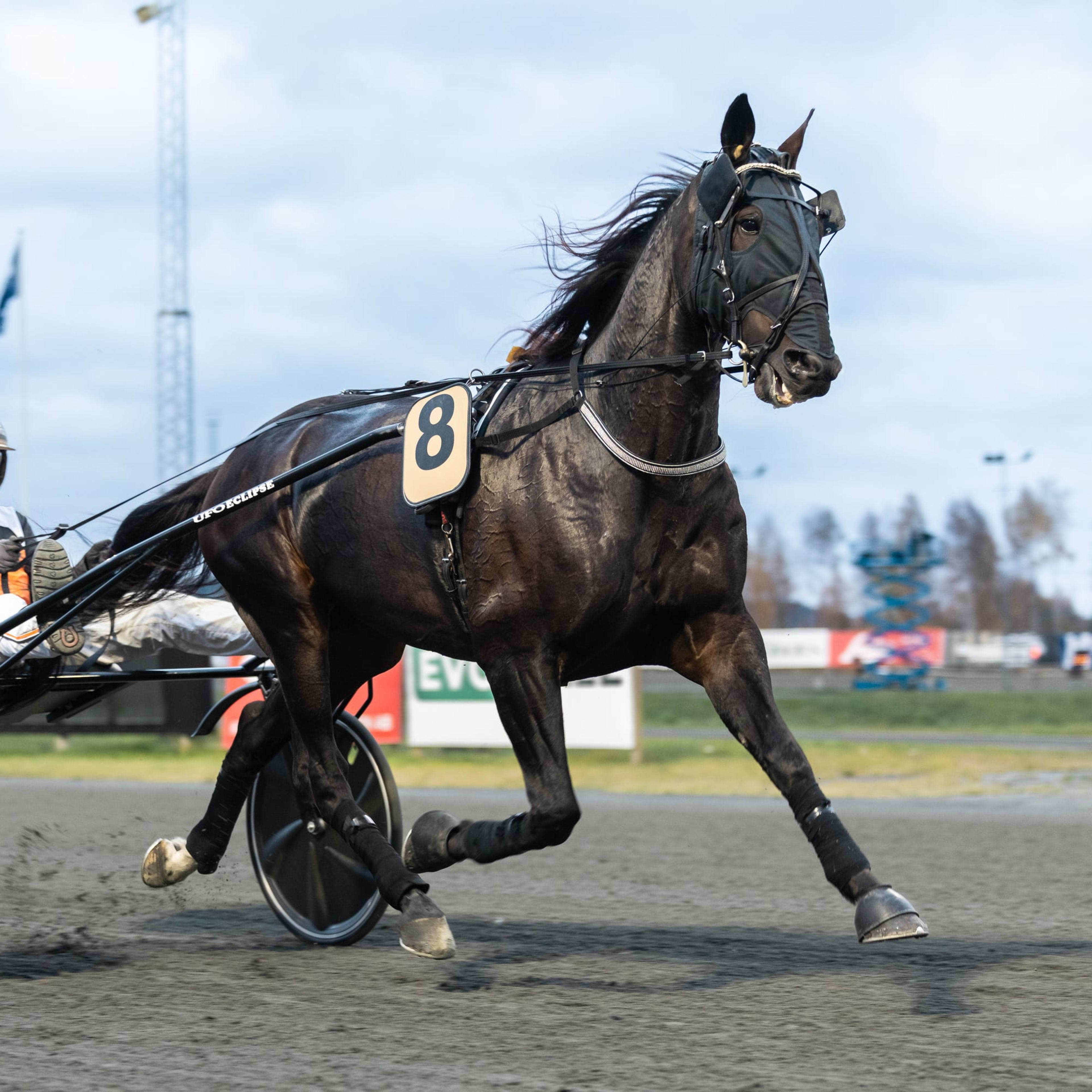 Foto: LENA EMMOTH / TR BILD