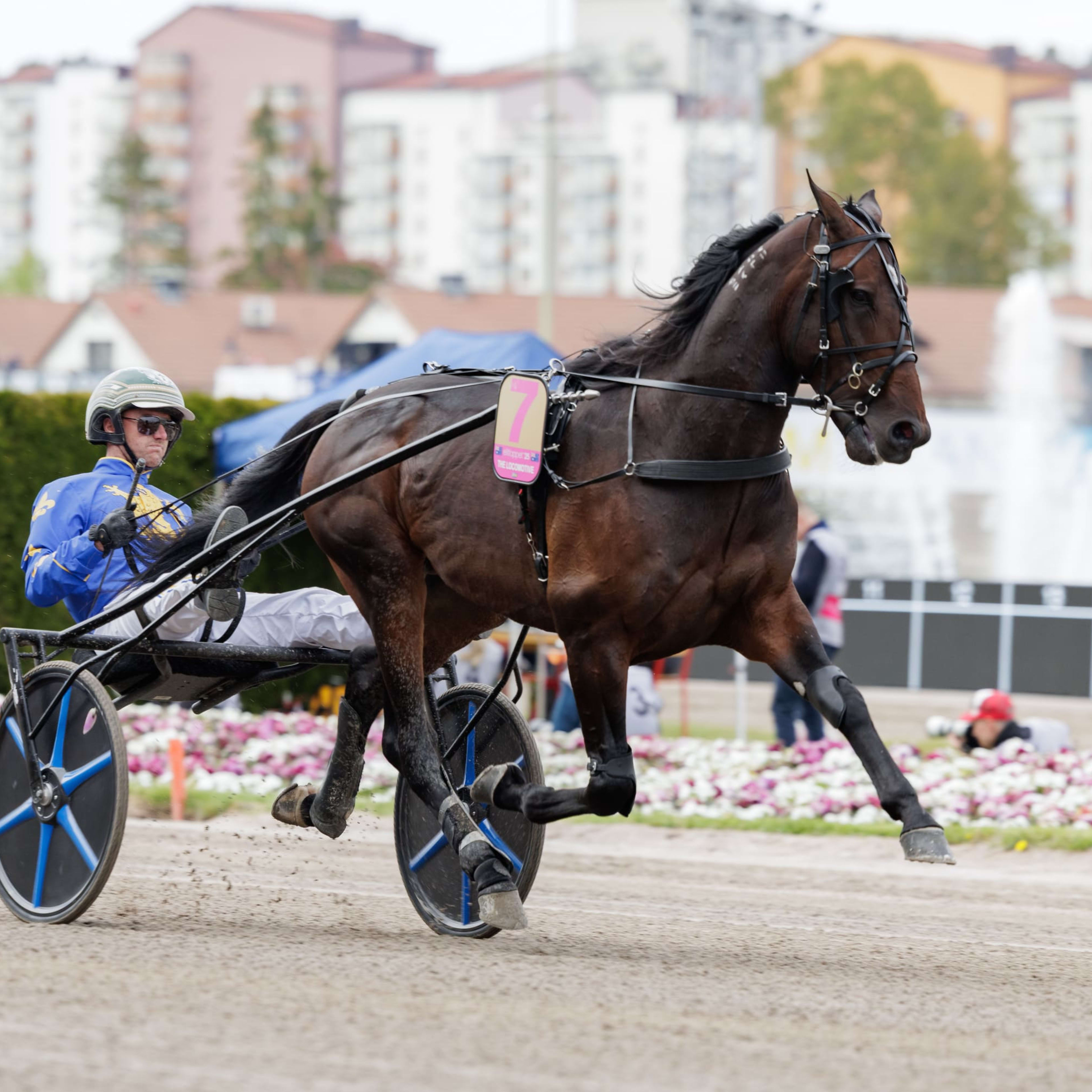 Foto: LENA EMMOTH / TR BILD