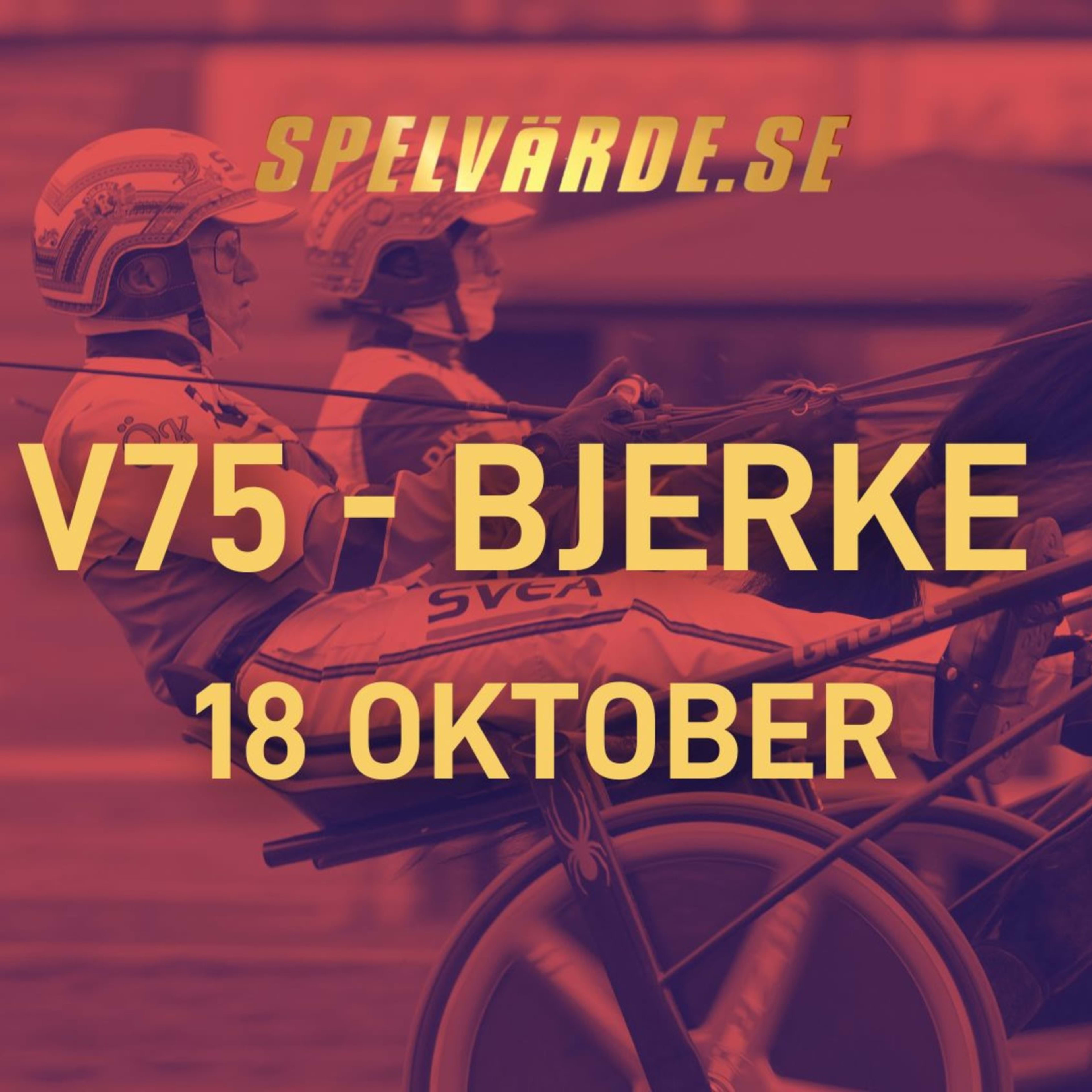 Foto: TR BILD