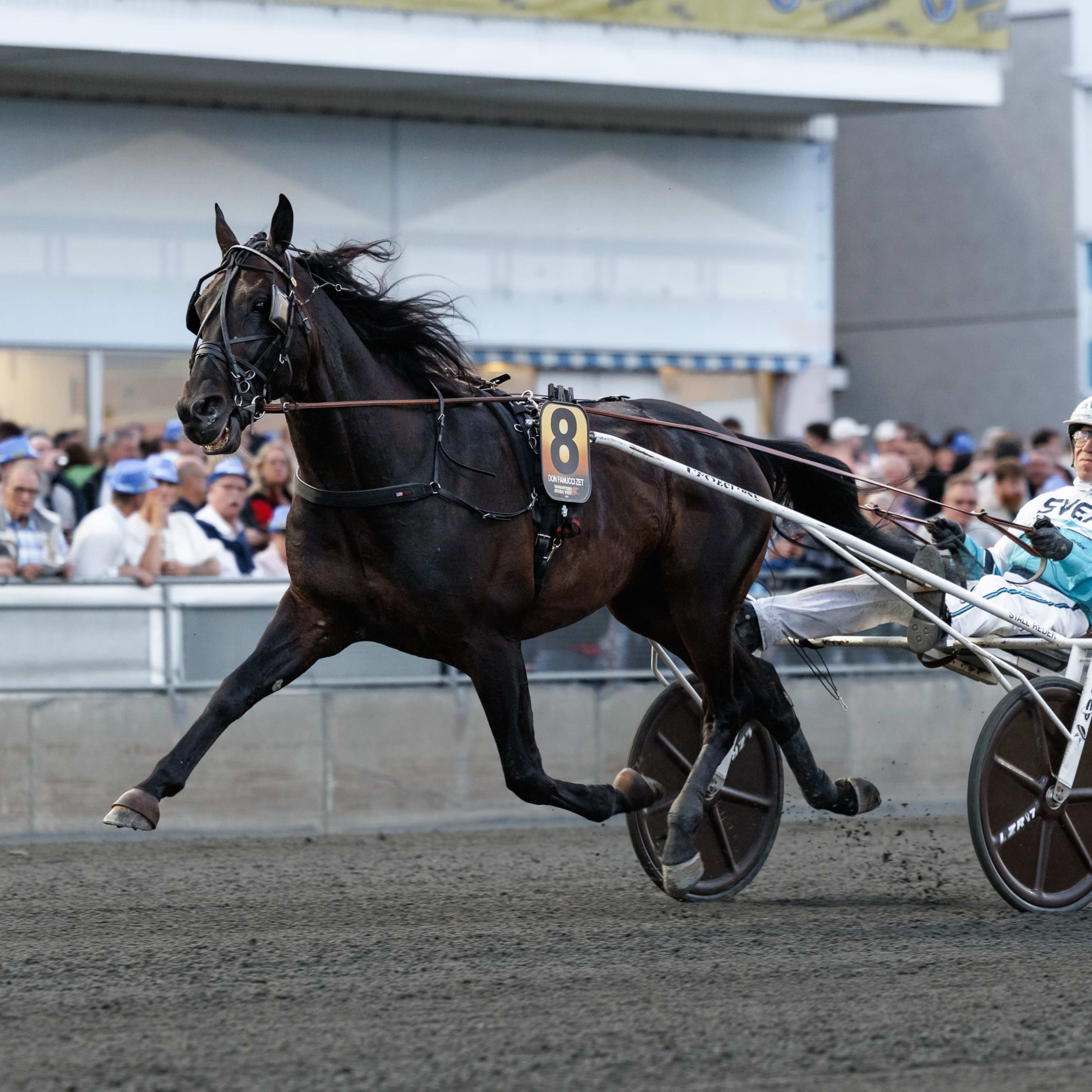 Foto: LENA EMMOTH / TR BILD