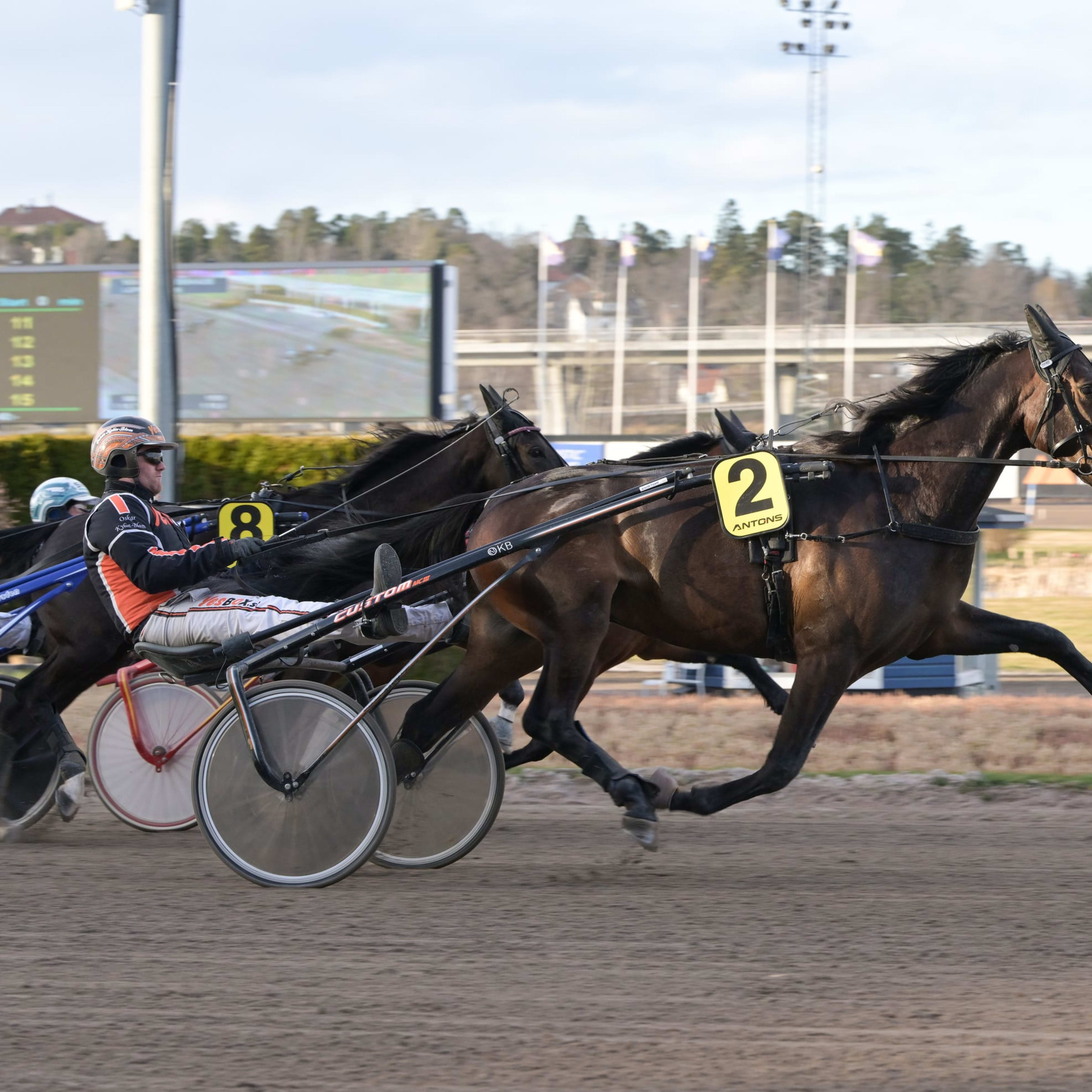 Foto: LARS JAKOBSSON / TR BILD
