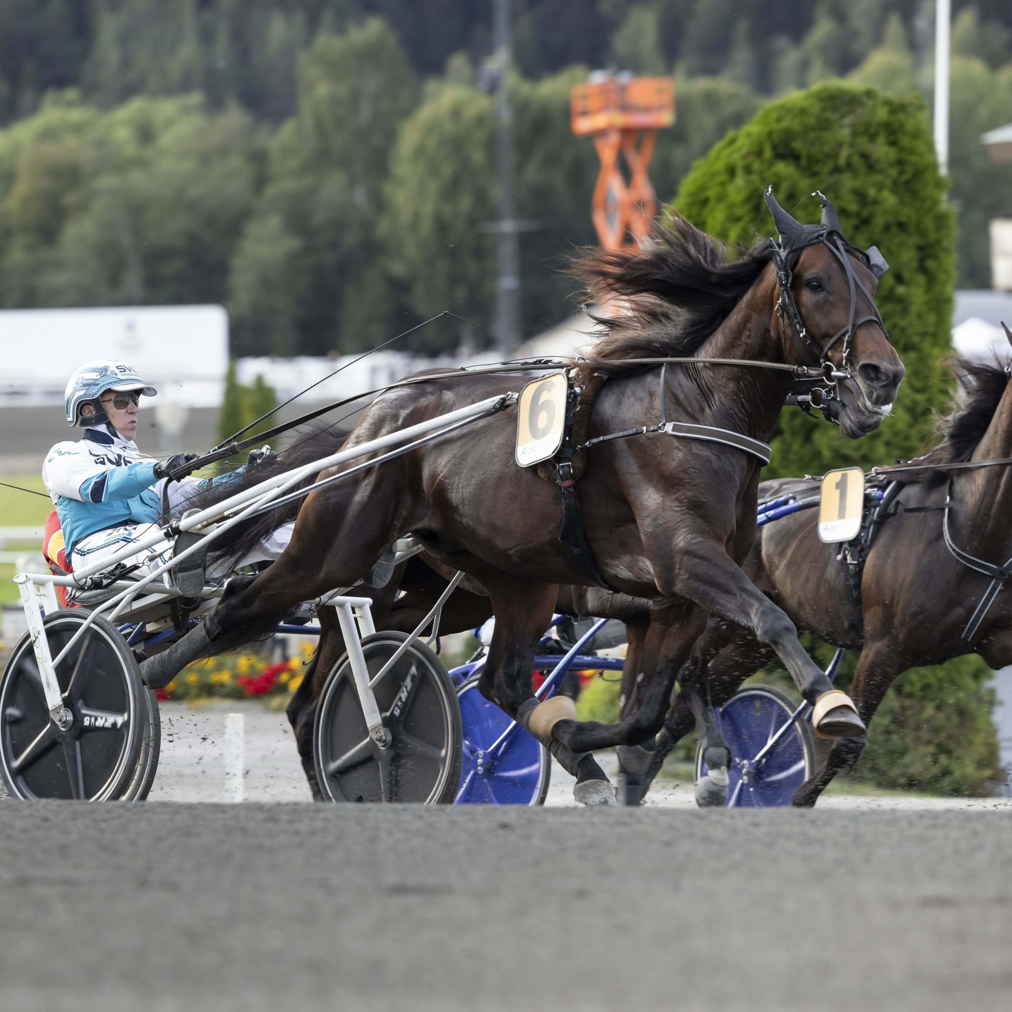 Foto: LENA EMMOTH / TR BILD