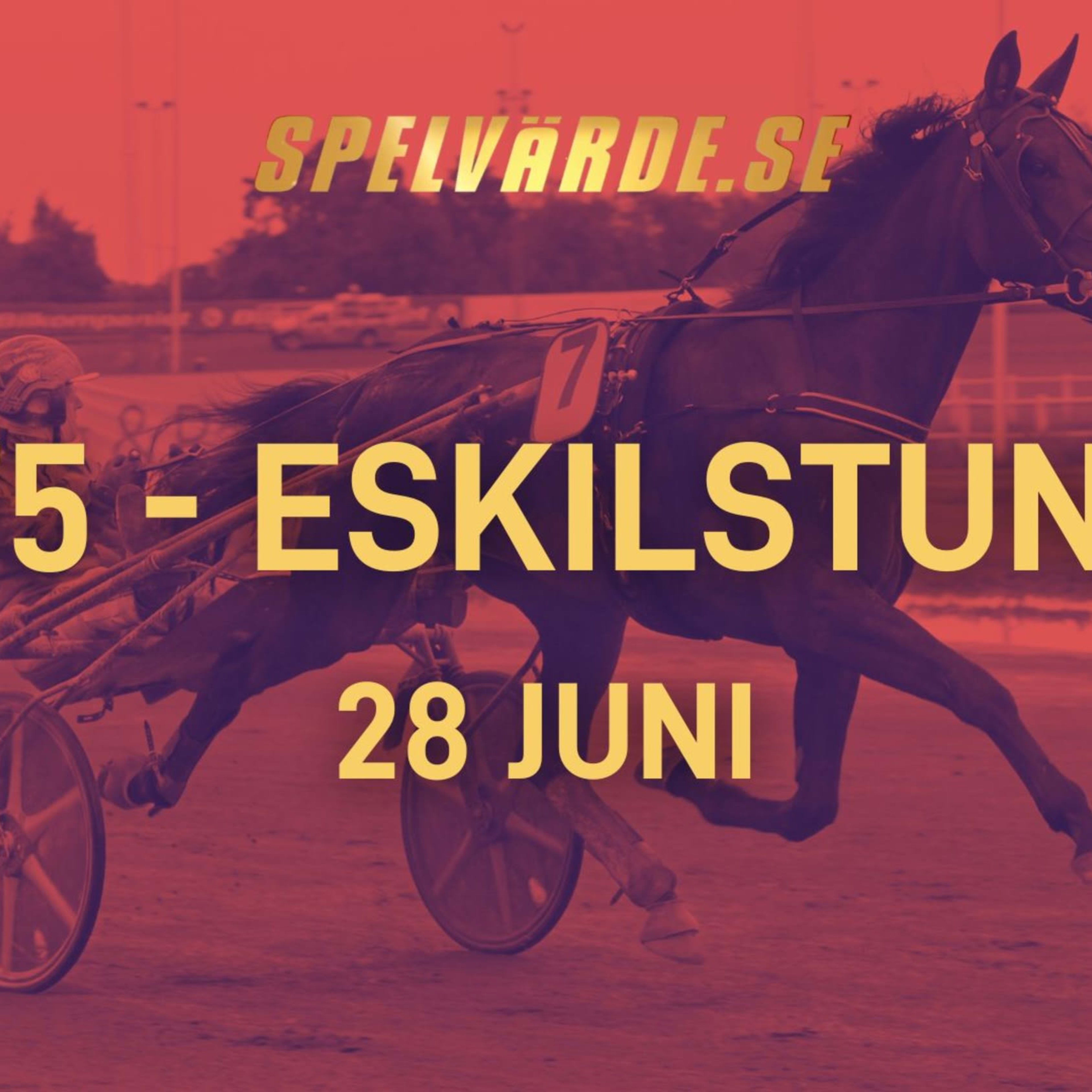 Foto: TR BILD
