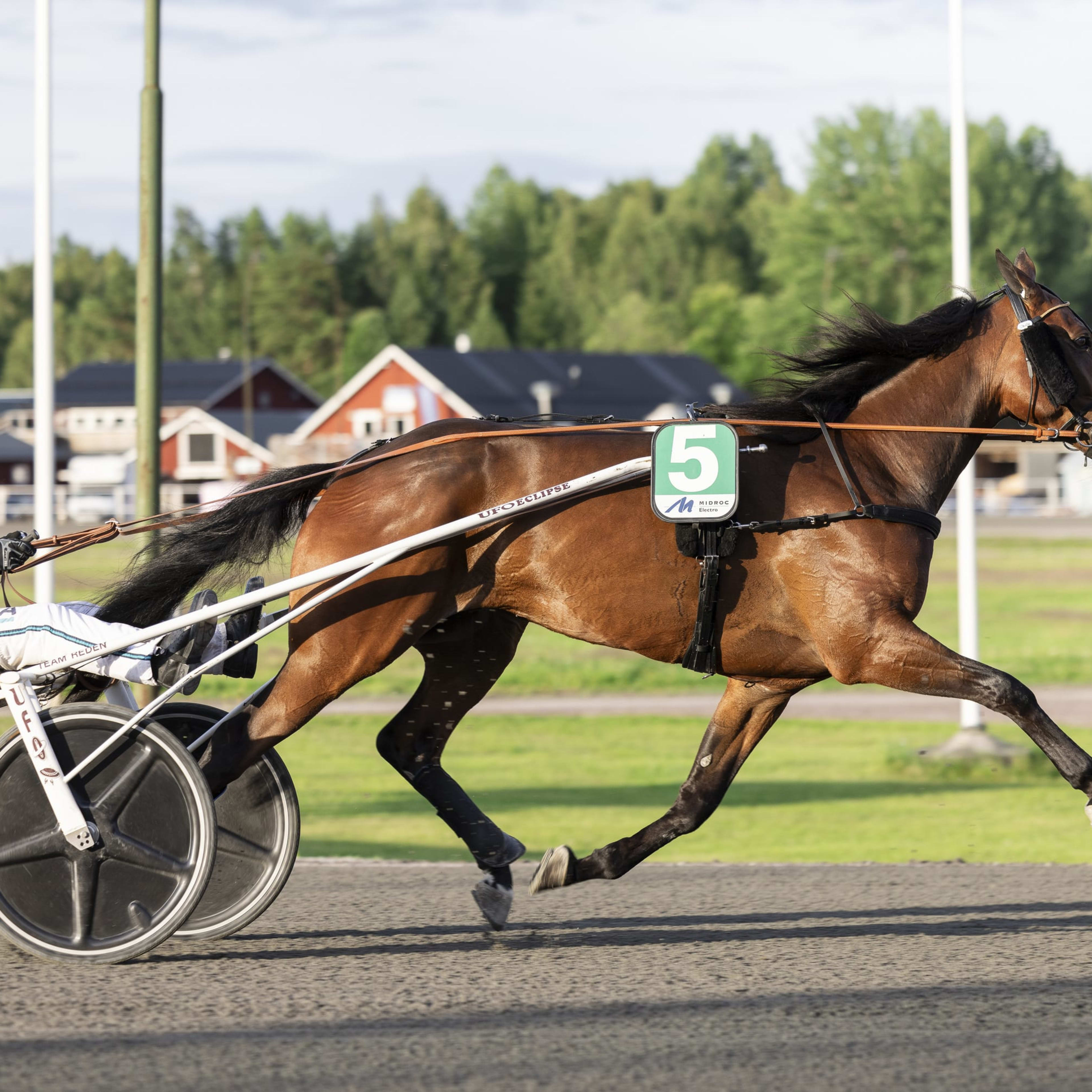 Foto: LENA EMMOTH / TR BILD