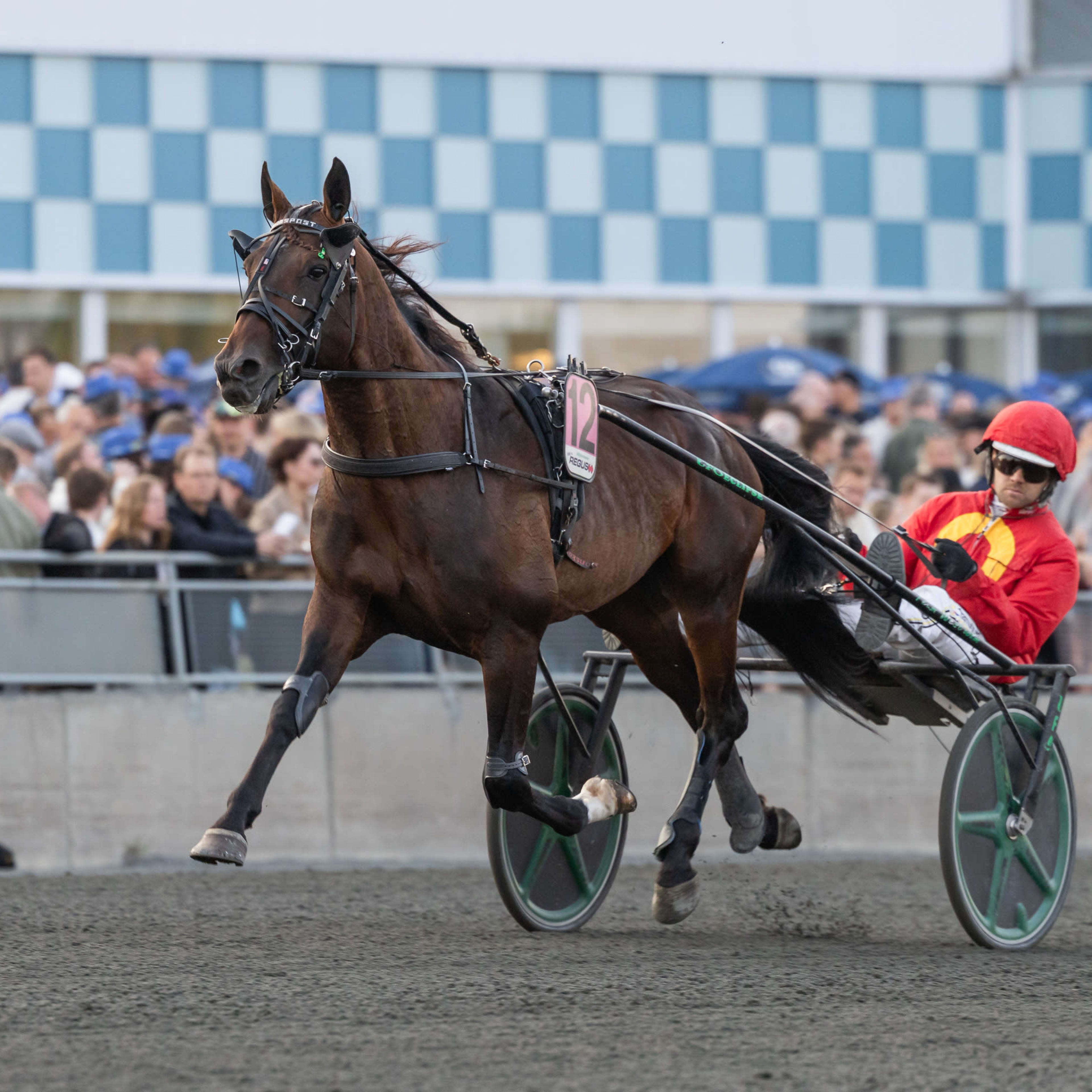 Foto: LENA EMMOTH / TR BILD
