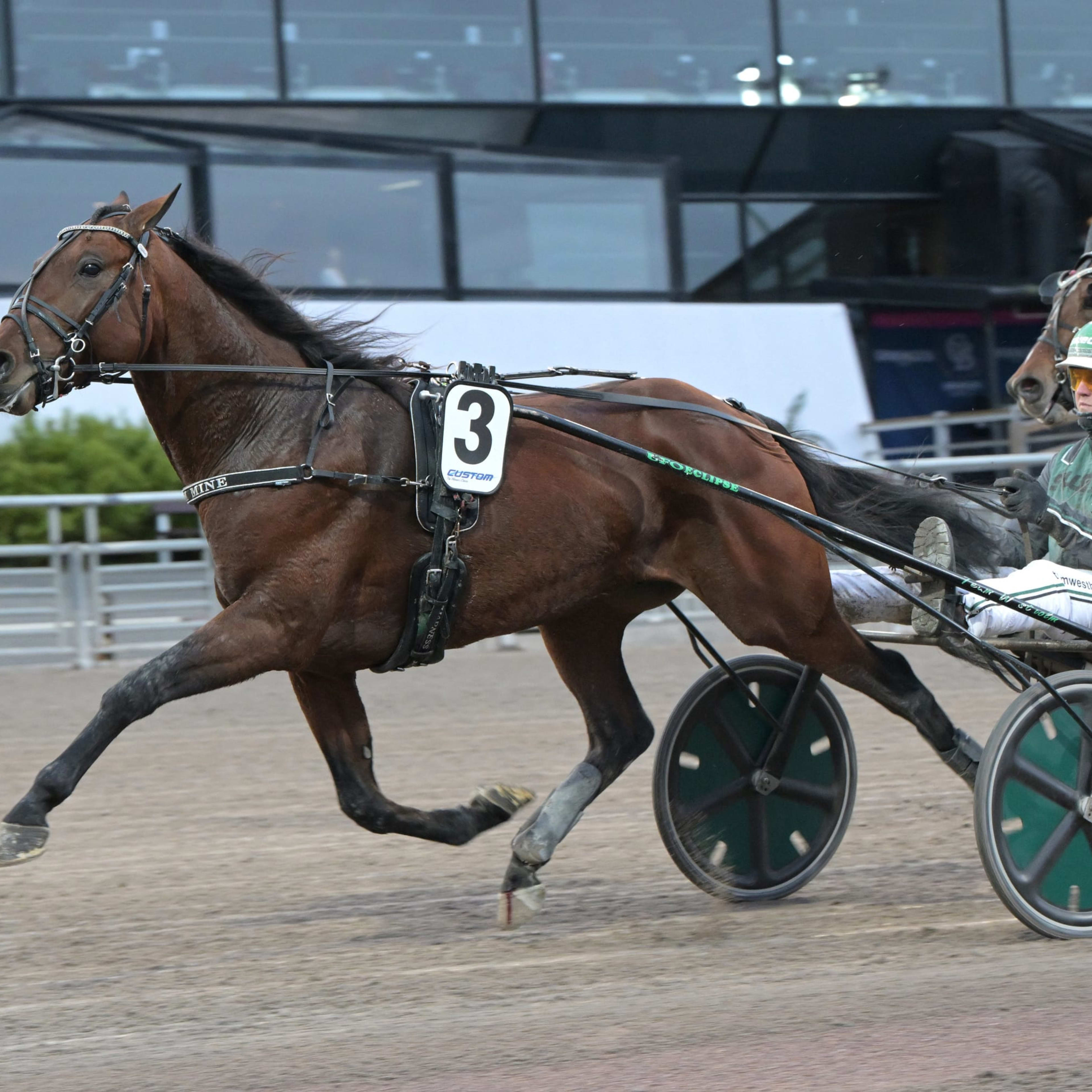 Foto: LARS JAKOBSSON / TR BILD
