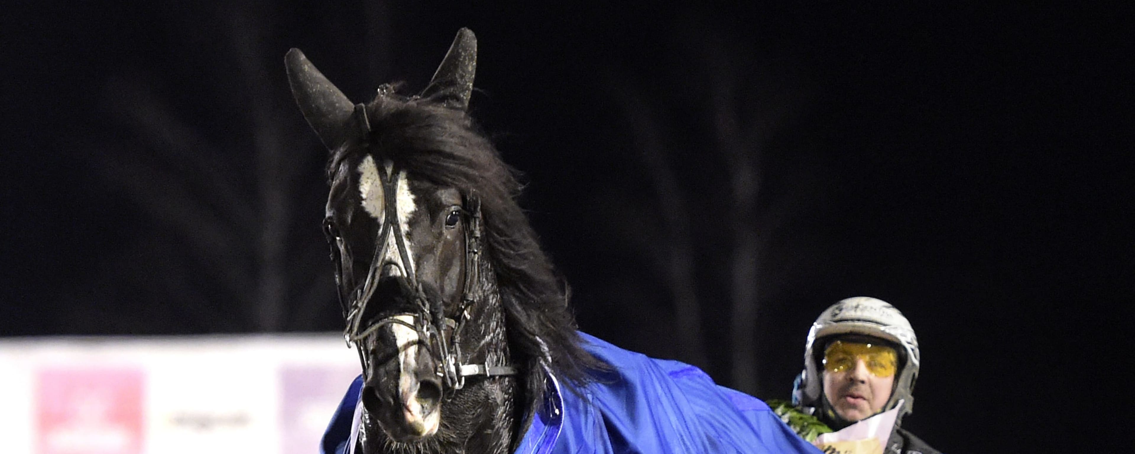 Foto: LARS JAKOBSSON / TR BILD