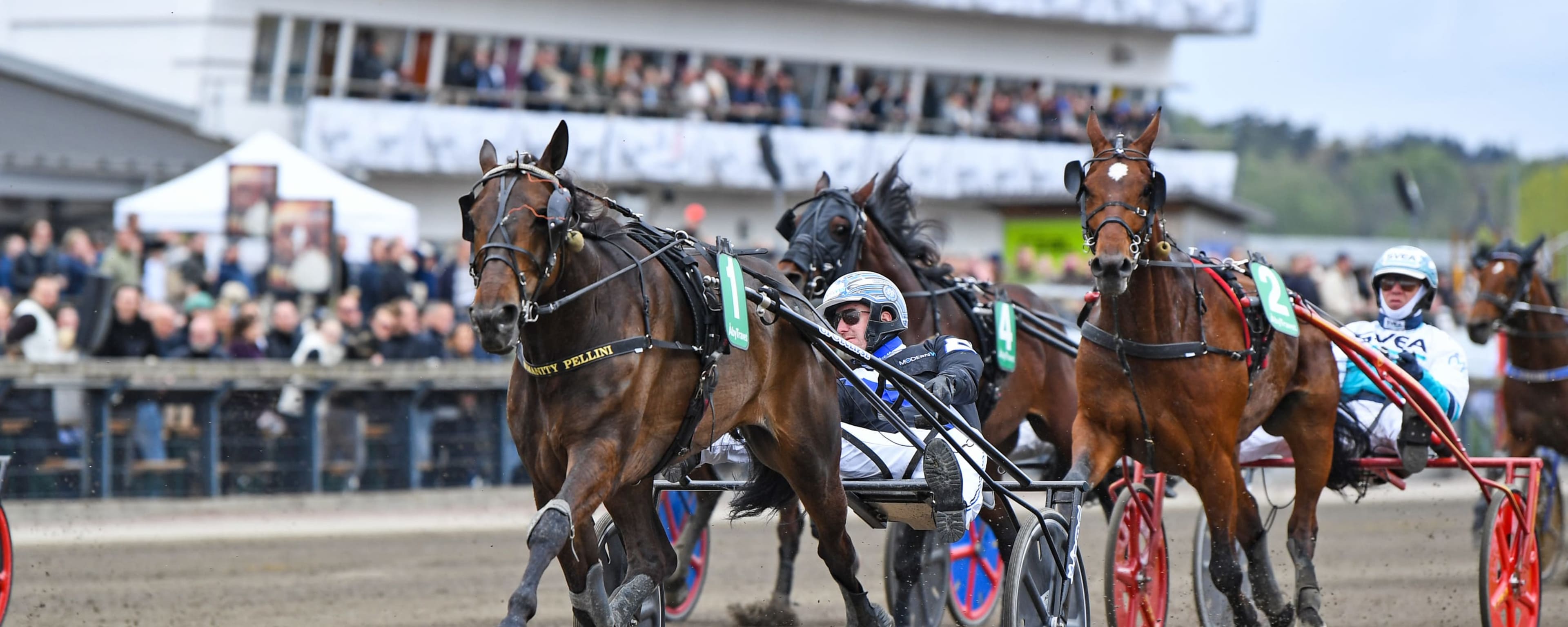 Foto: MALIN ALBINSSON / TR BILD