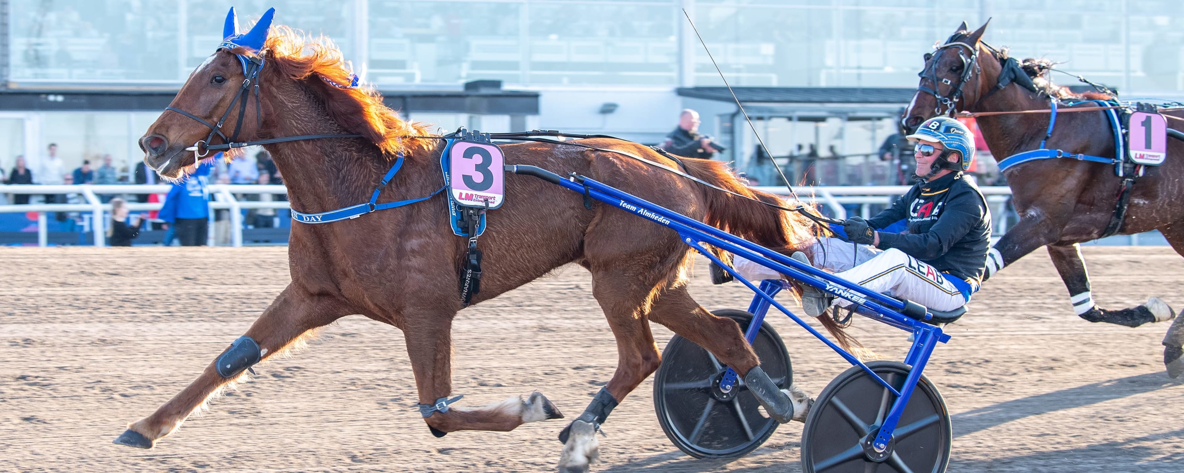 Foto: MIKAEL ROSENQUIST / TR BILD