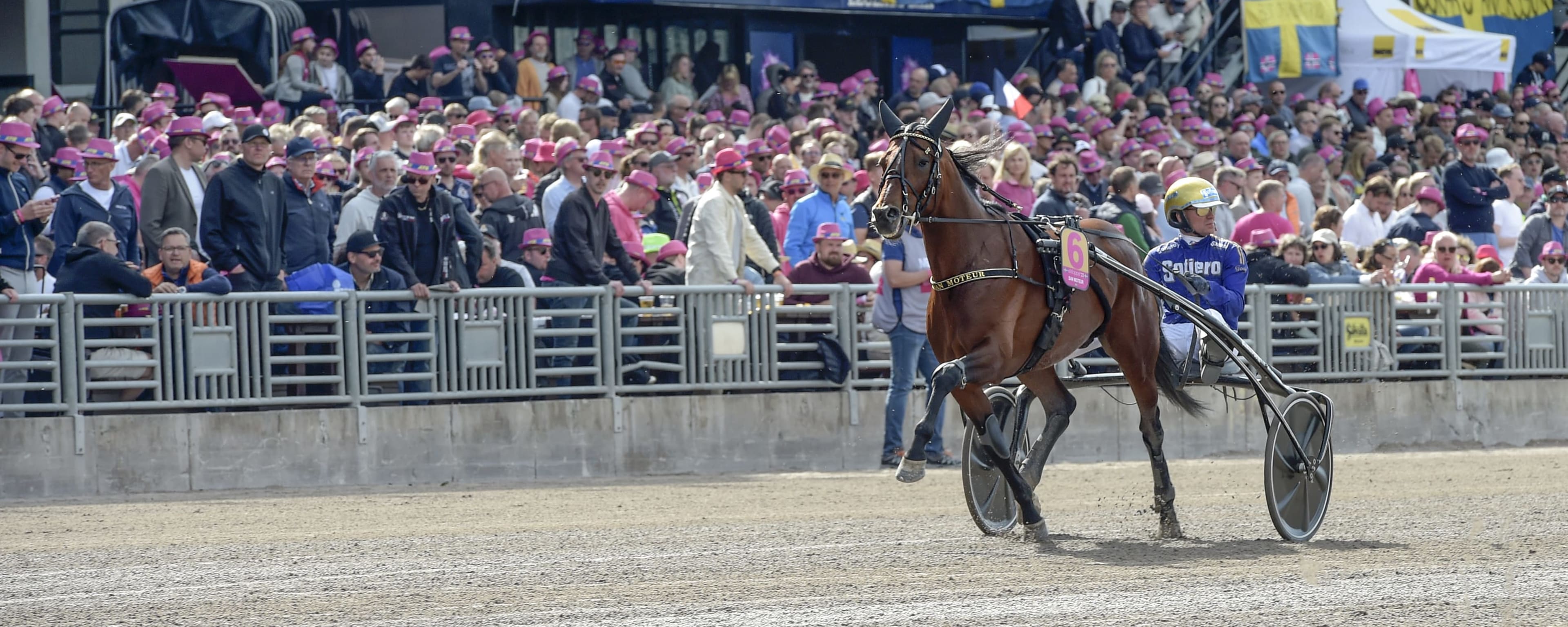 Foto: LARS JAKOBSSON / TR BILD
