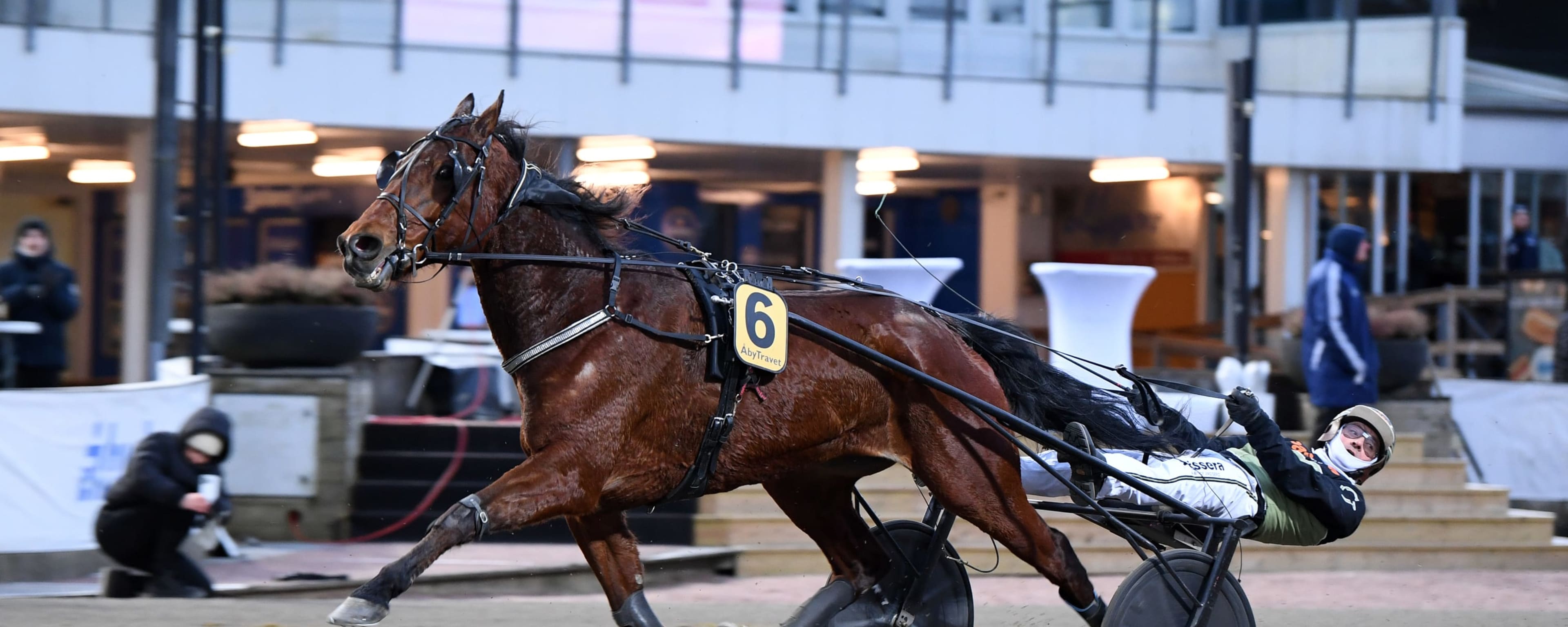 Foto: MALIN ALBINSSON / TR BILD
