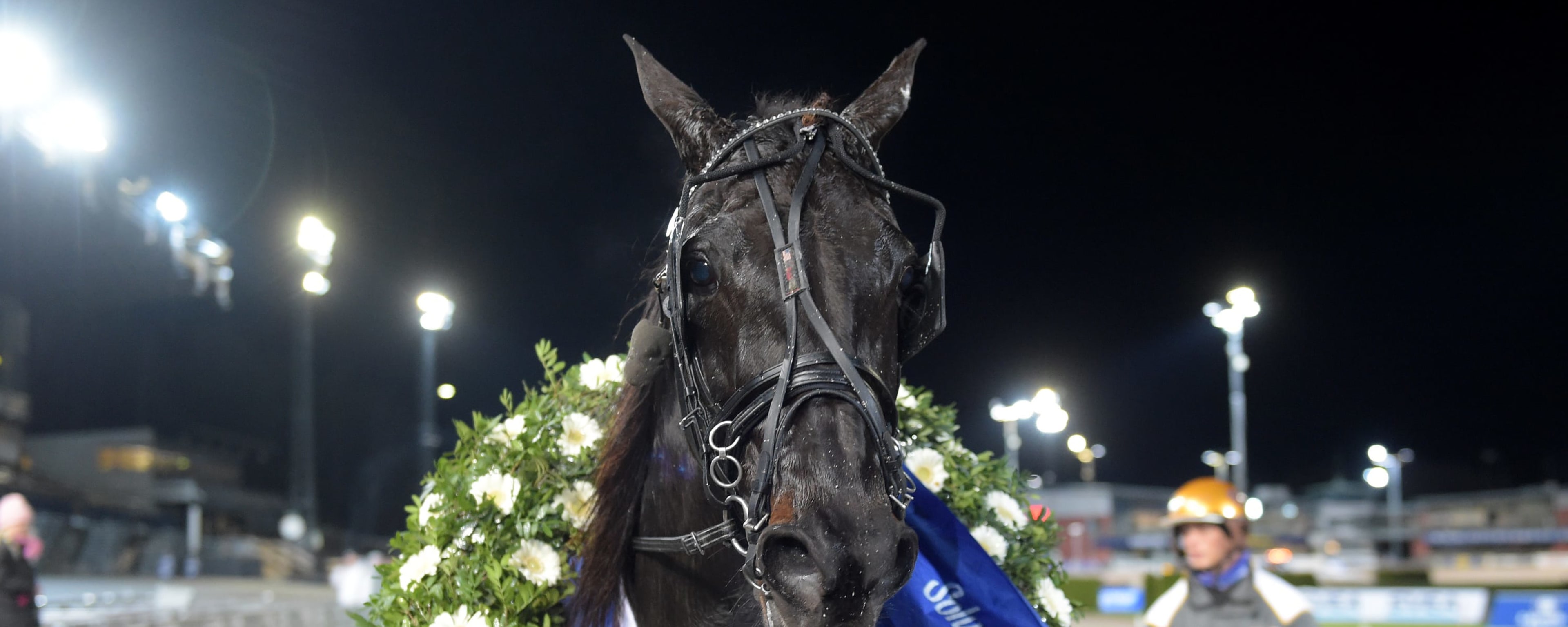 Foto: LARS JAKOBSSON/TR BILD