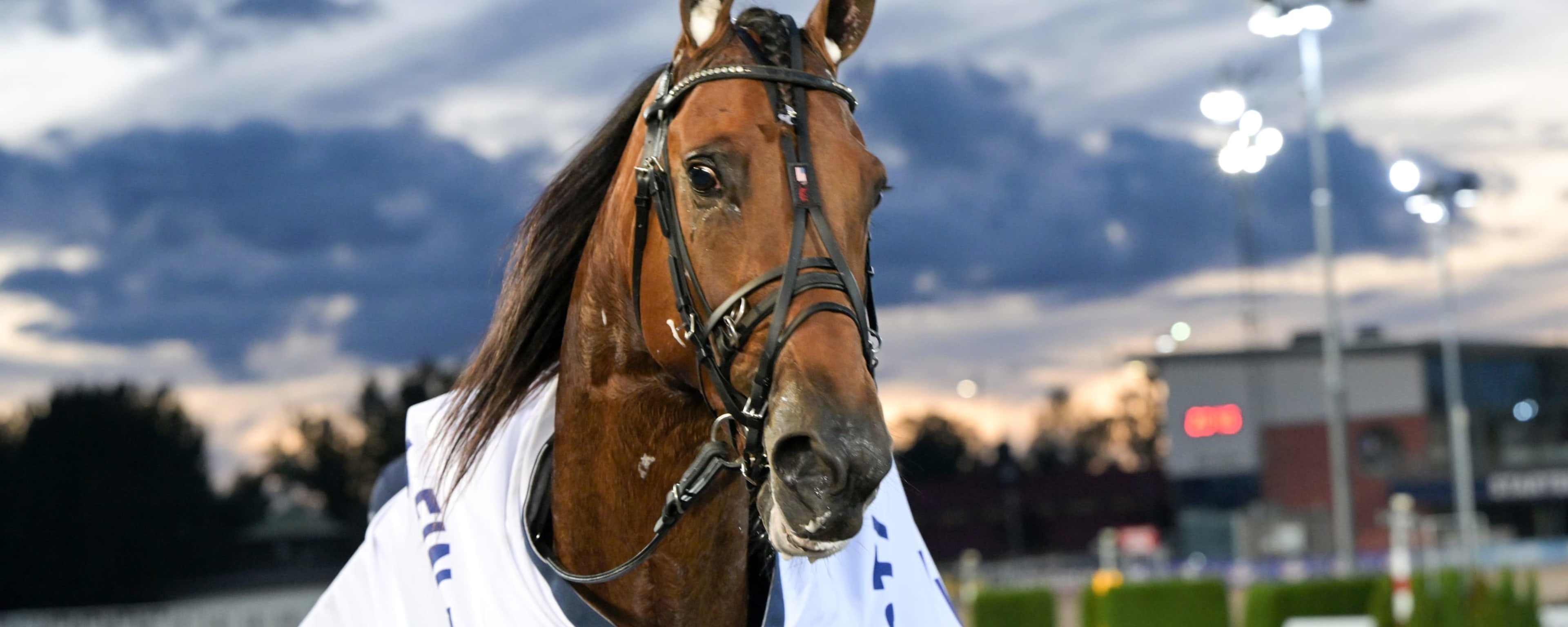 Foto: LARS JAKOBSSON / TR BILD