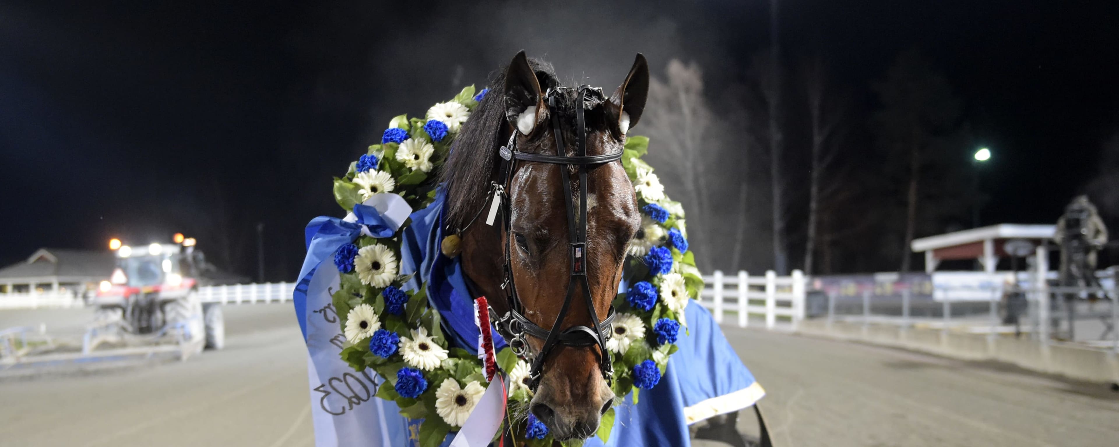 Foto: LARS JAKOBSSON / TR BILD
