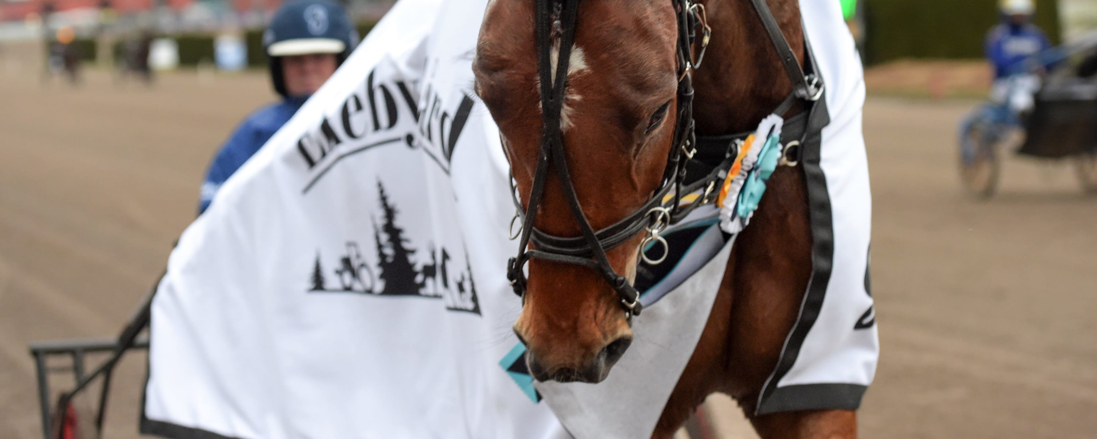Foto: LARS JAKOBSSON / TR BILD