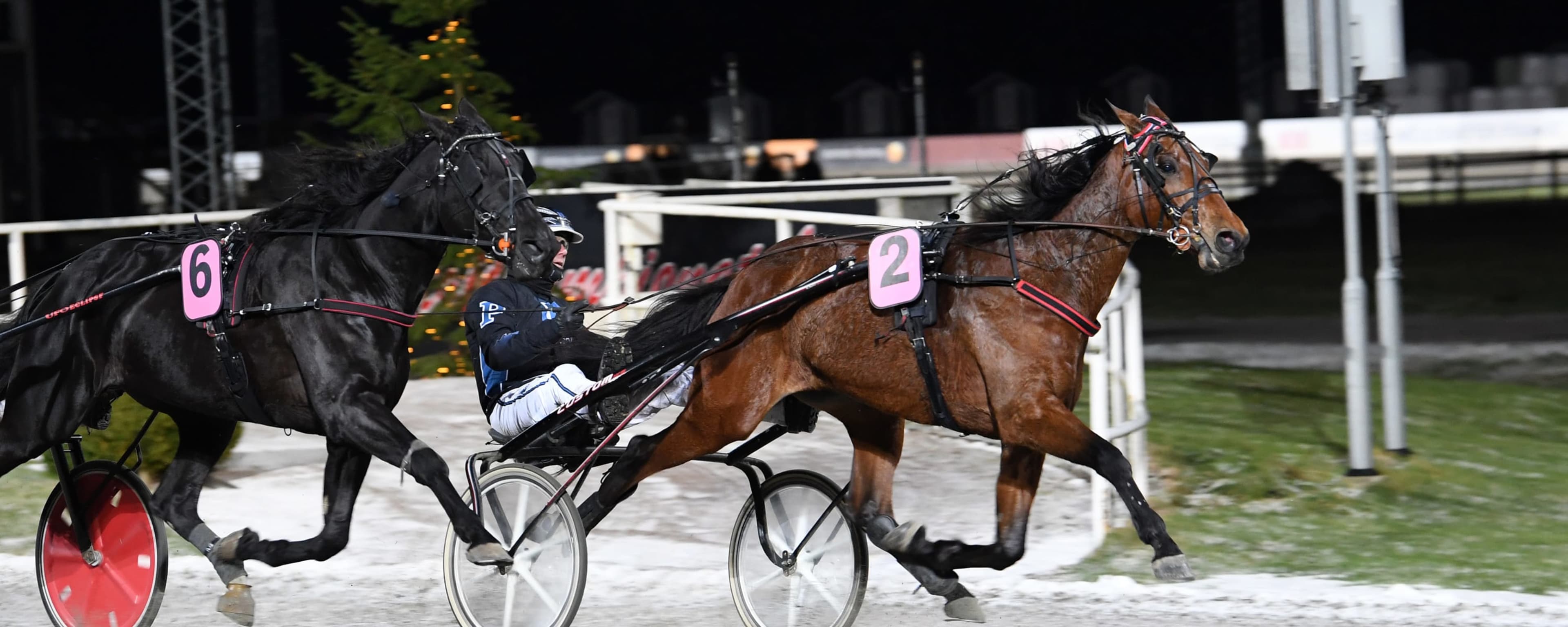 Foto: MALIN ALBINSSON / TR BILD