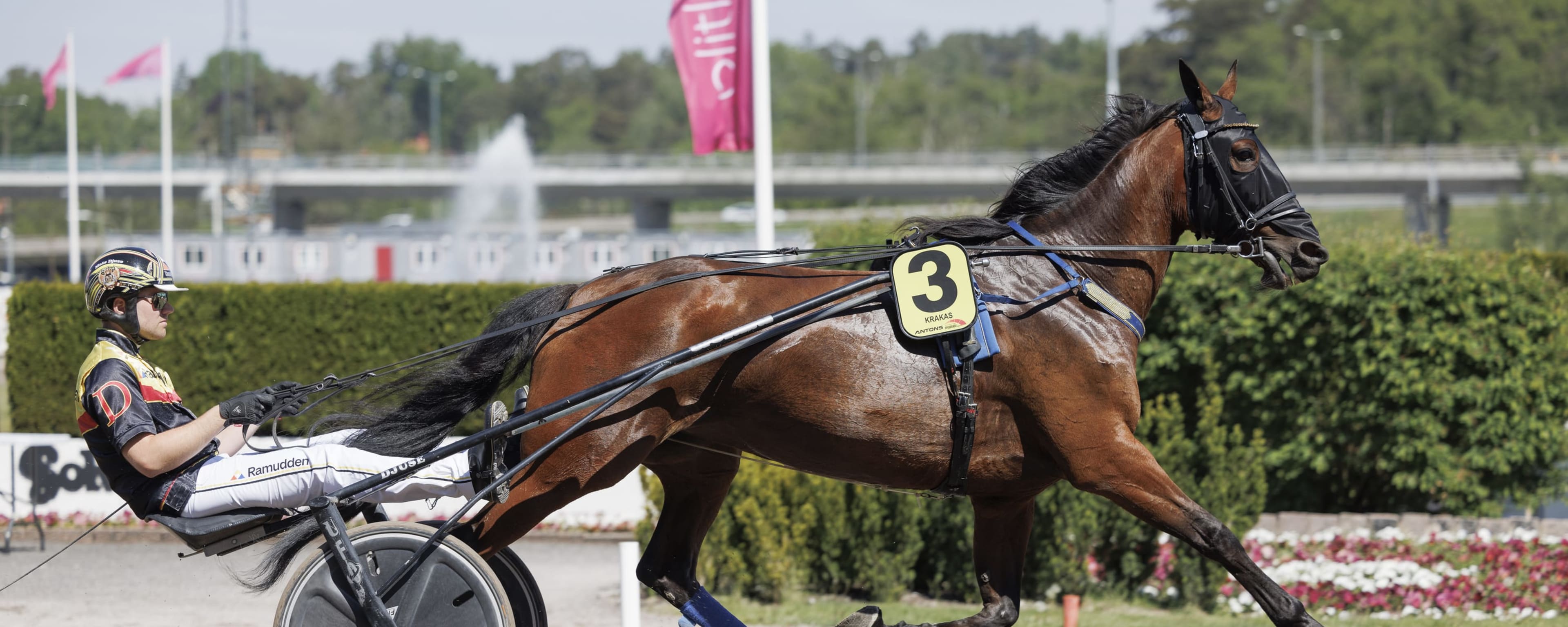 Foto: LENA EMMOTH / TR BILD
