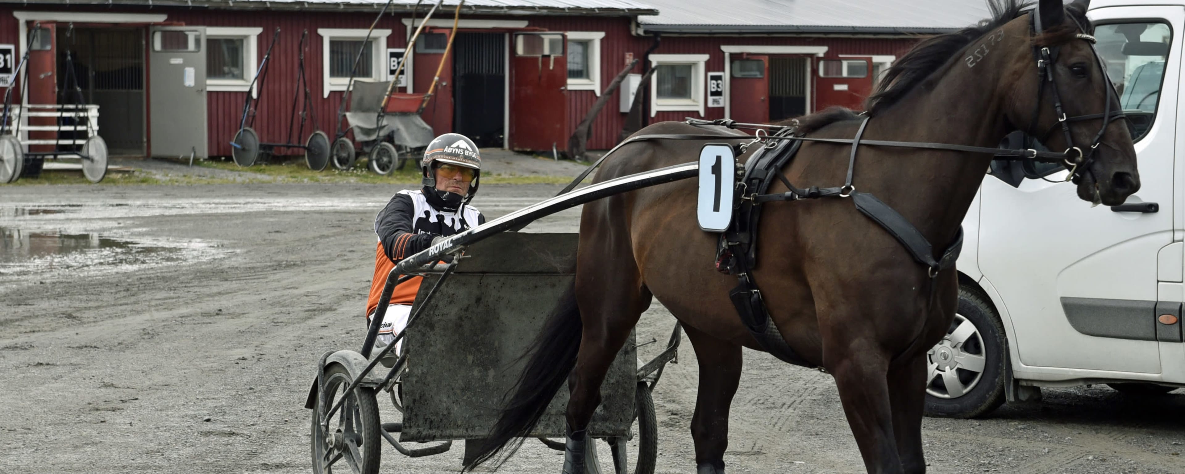 Foto: MIKAEL WIKNER