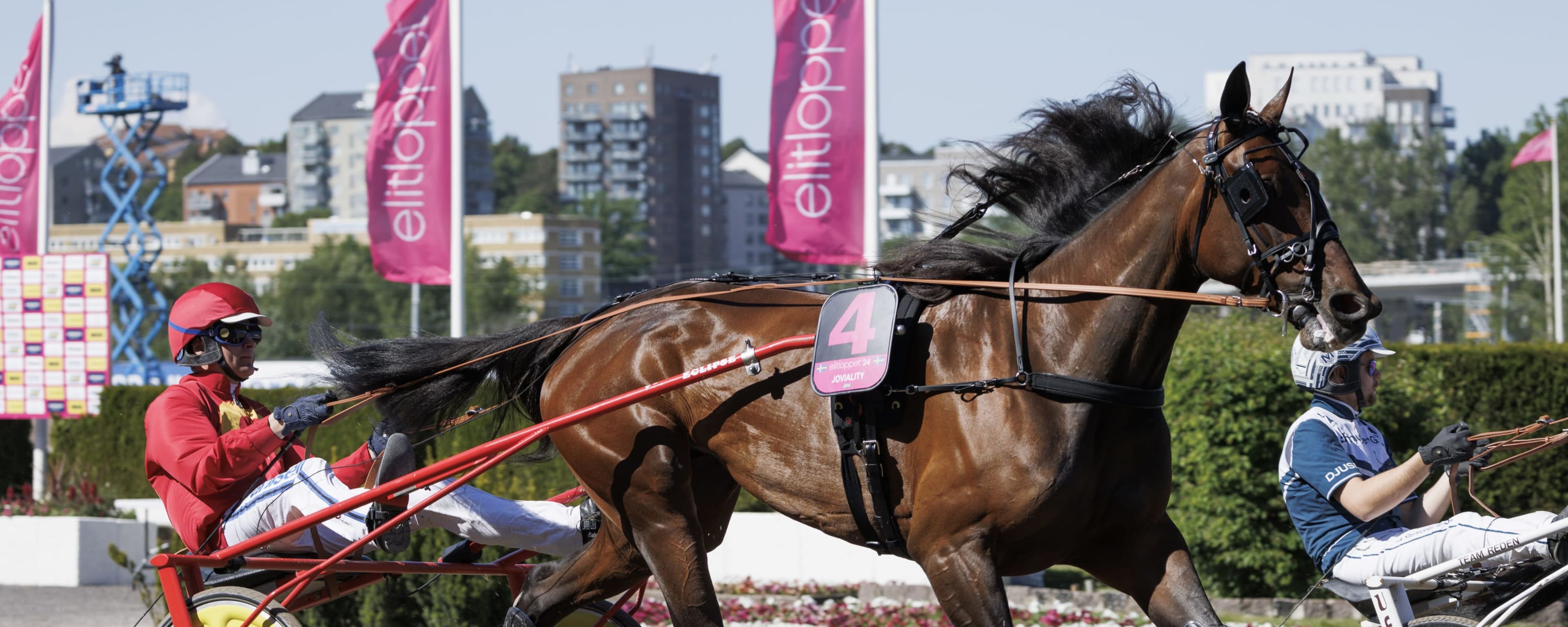 Foto: LENA EMMOTH / TR BILD