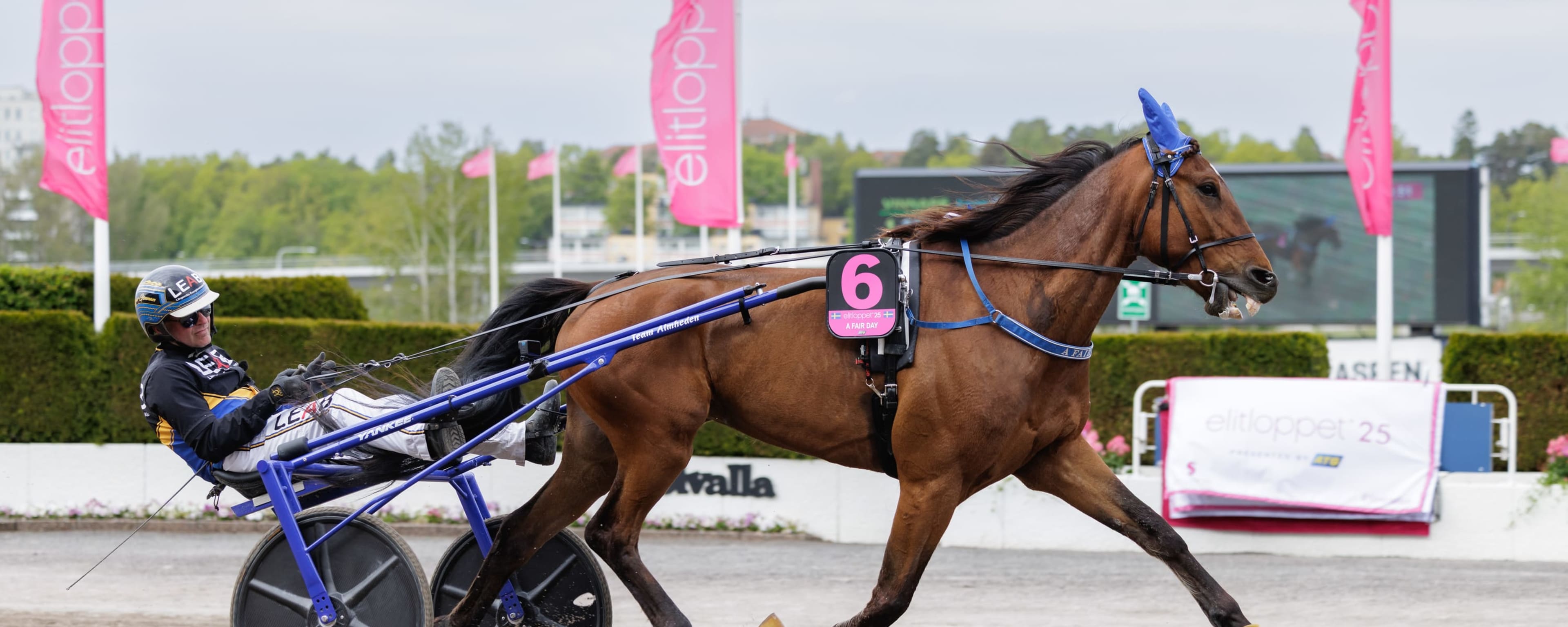 Foto: LENA EMMOTH / TR BILD