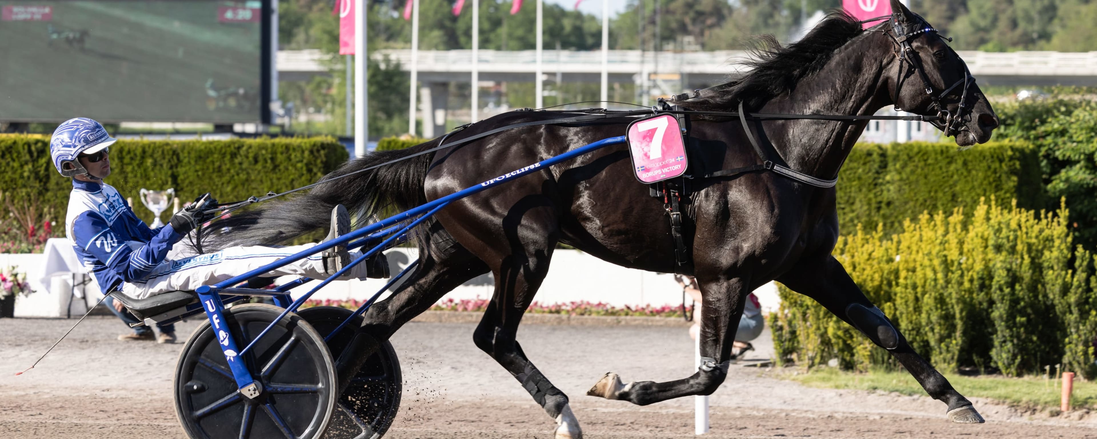Foto: LENA EMMOTH / TR BILD