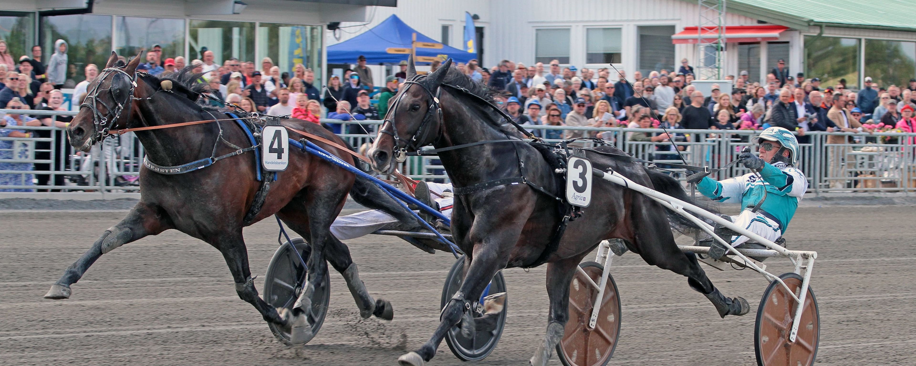 Foto: TOM JÖNEHAG/TR BILD