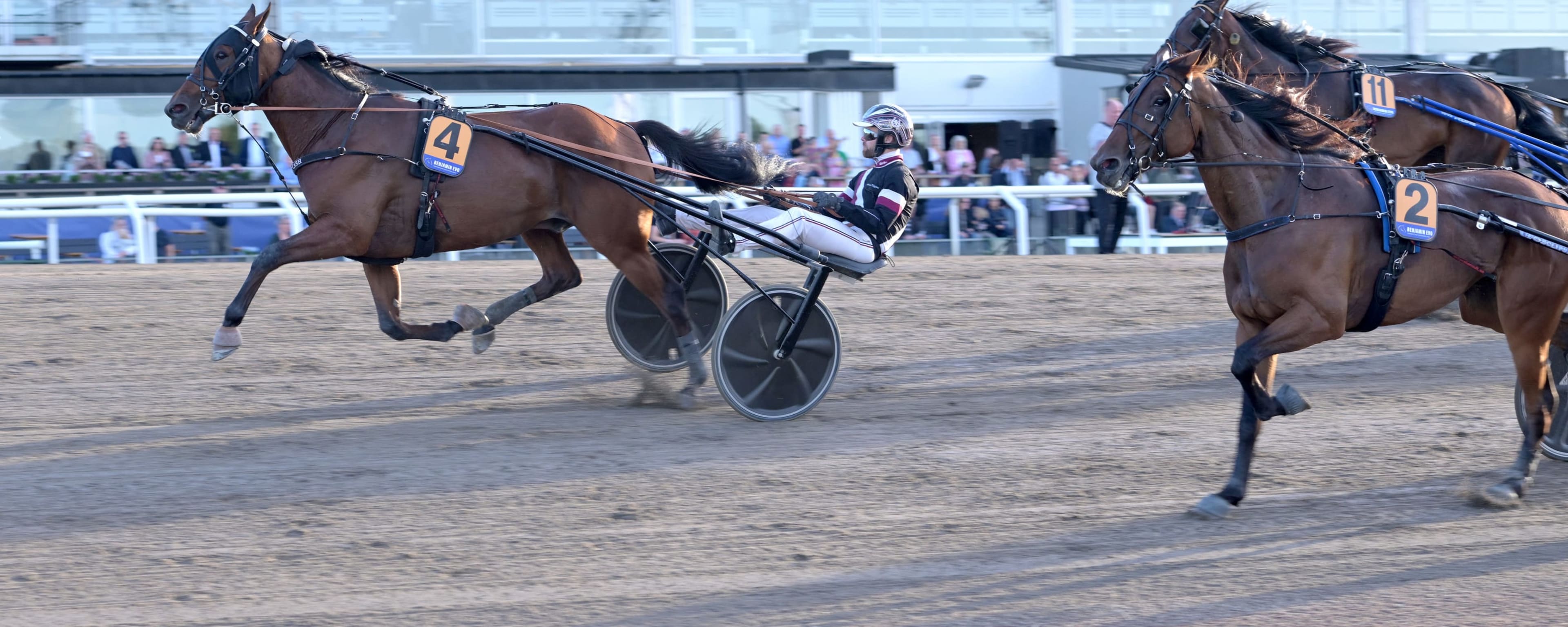 Foto: LARS JAKOBSSON / TR BILD