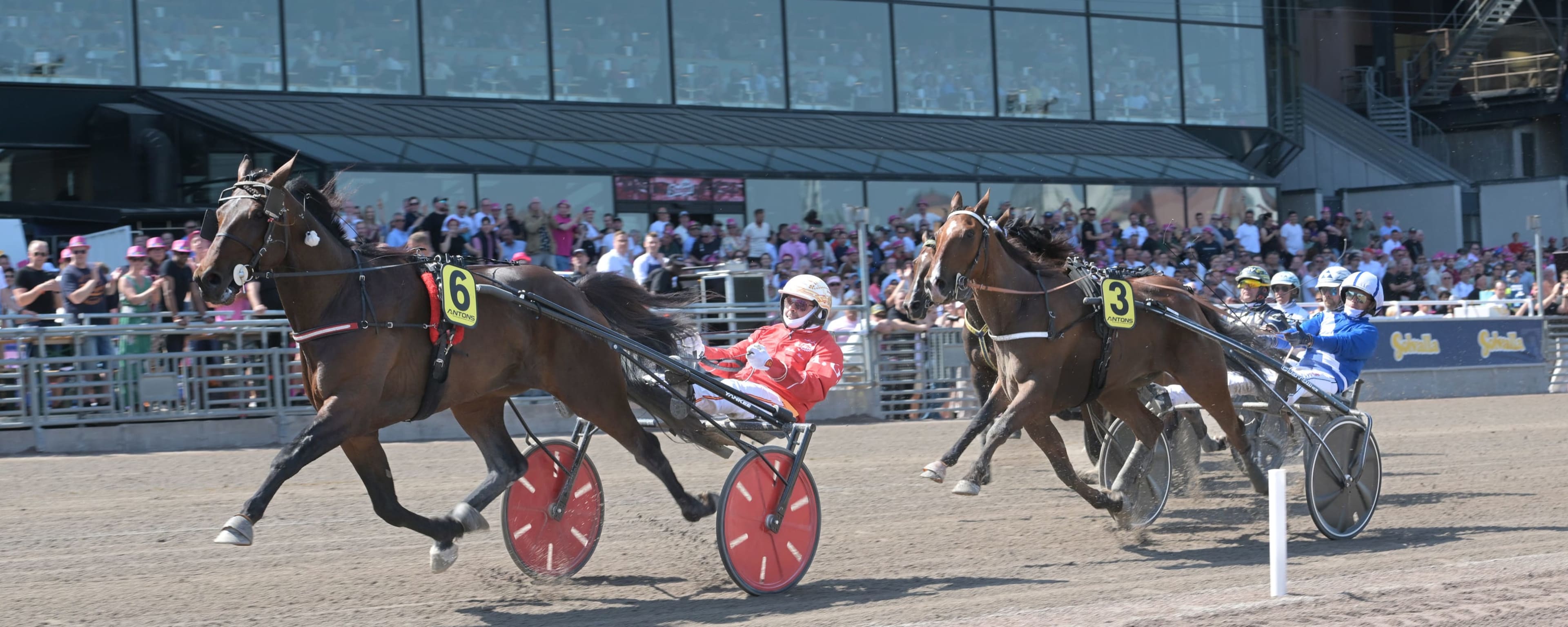 Foto: LARS JAKOBSSON / TR BILD