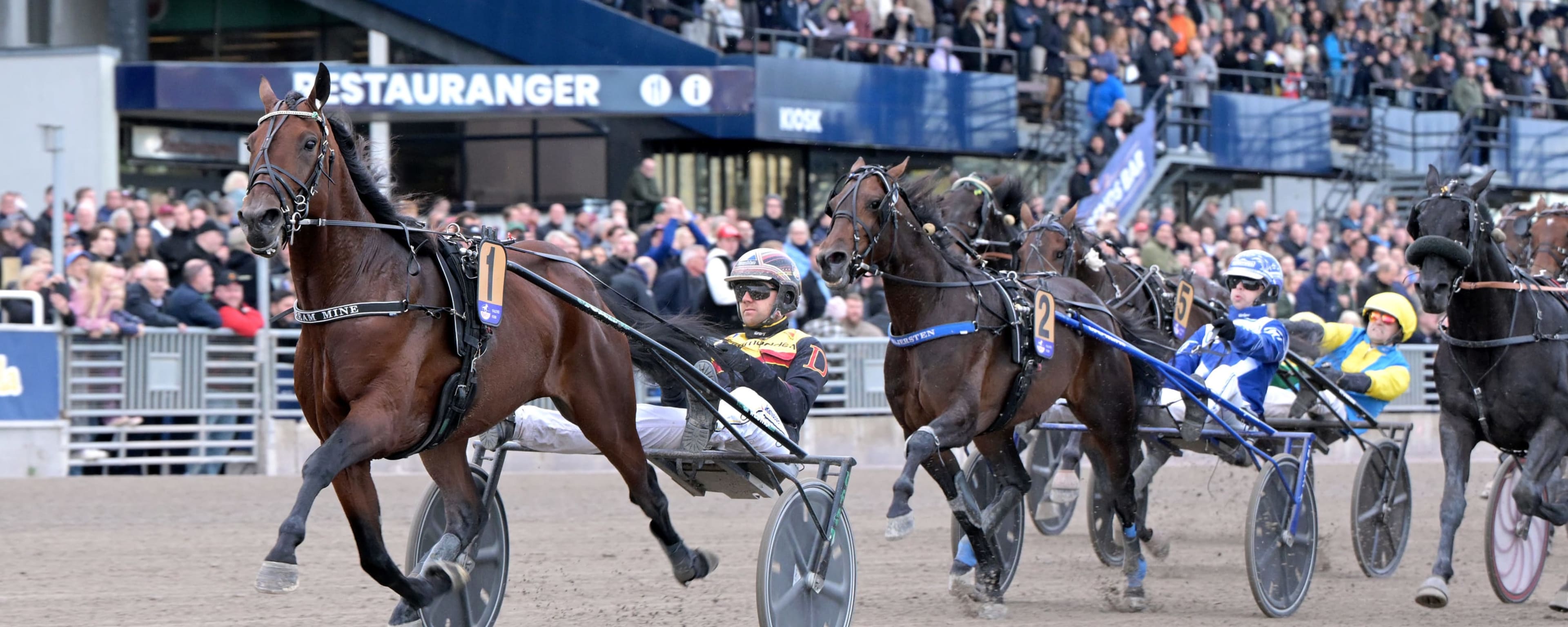 Foto: LARS JAKOBSSON / TR BILD