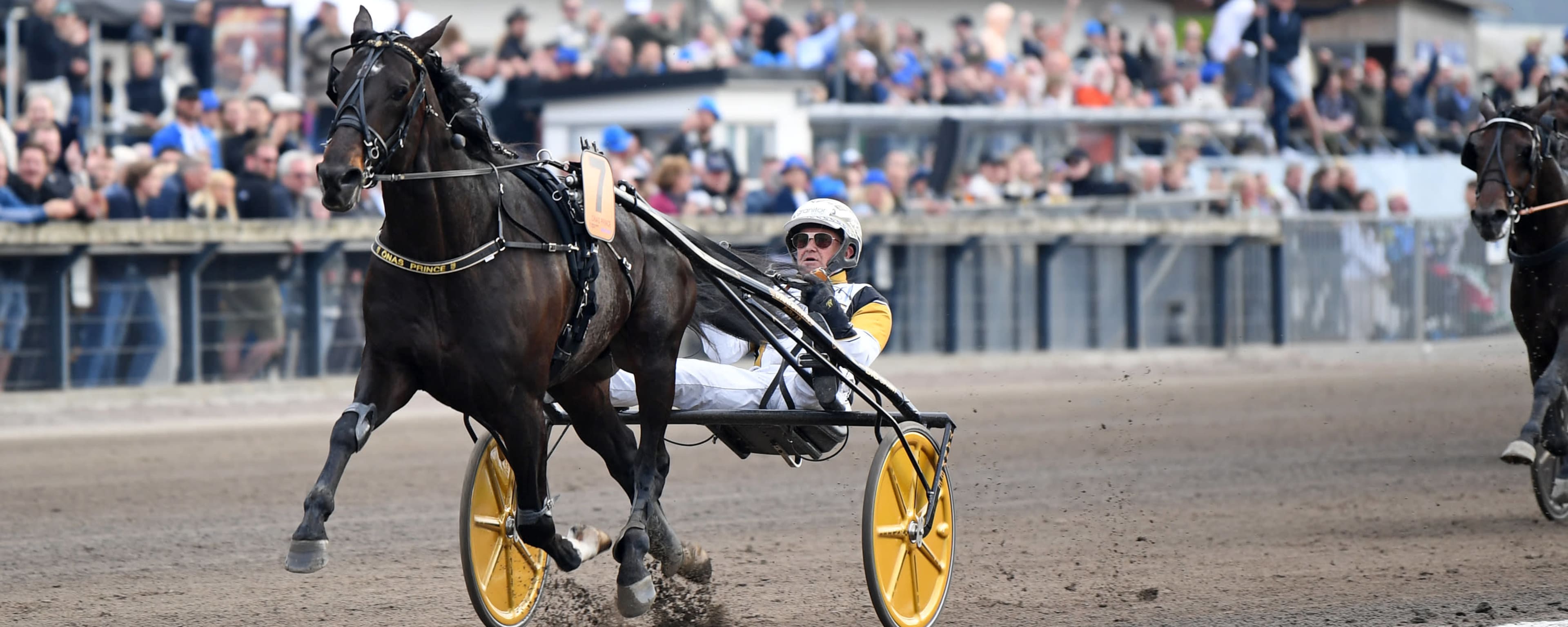 Foto: MALIN ALBINSSON / TR BILD
