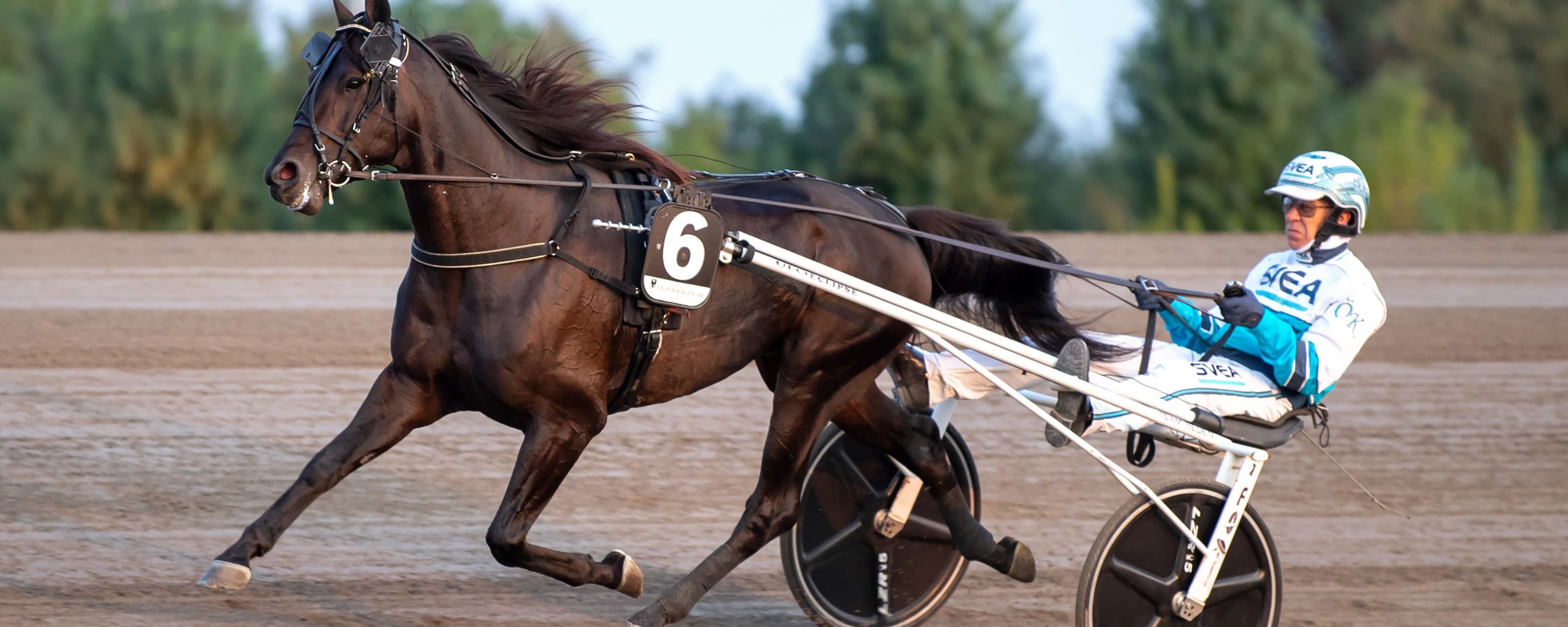 Foto: MIKAEL ROSENQUIST / TR BILD