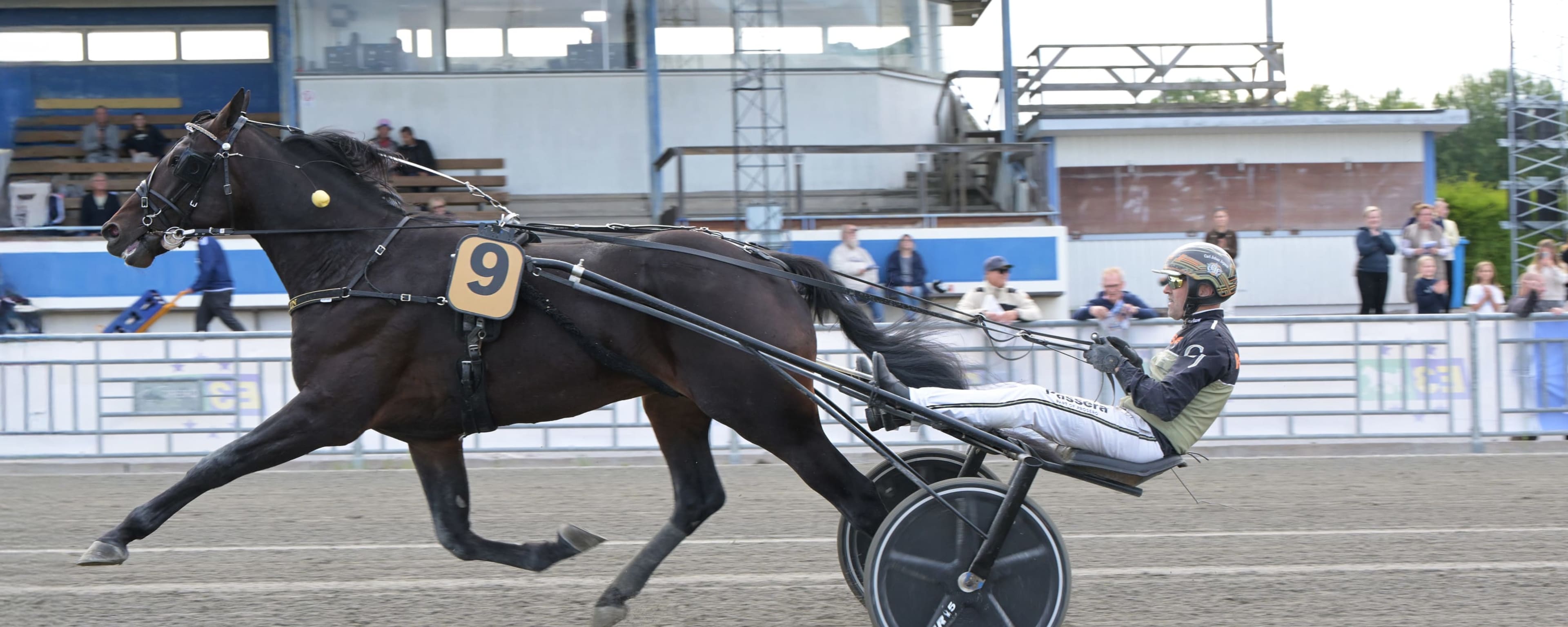 Foto: LARS JAKOBSSON / TR BILD