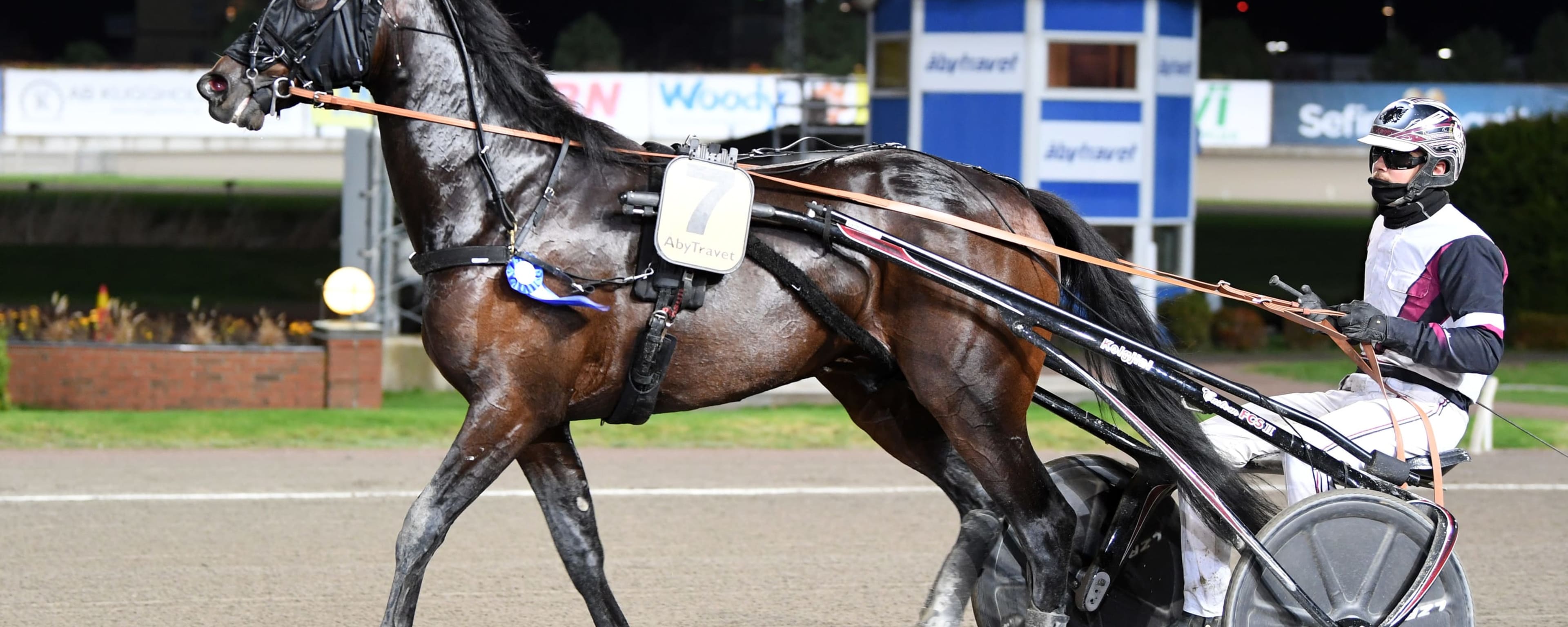 Foto: MALIN ALBINSSON / TR BILD