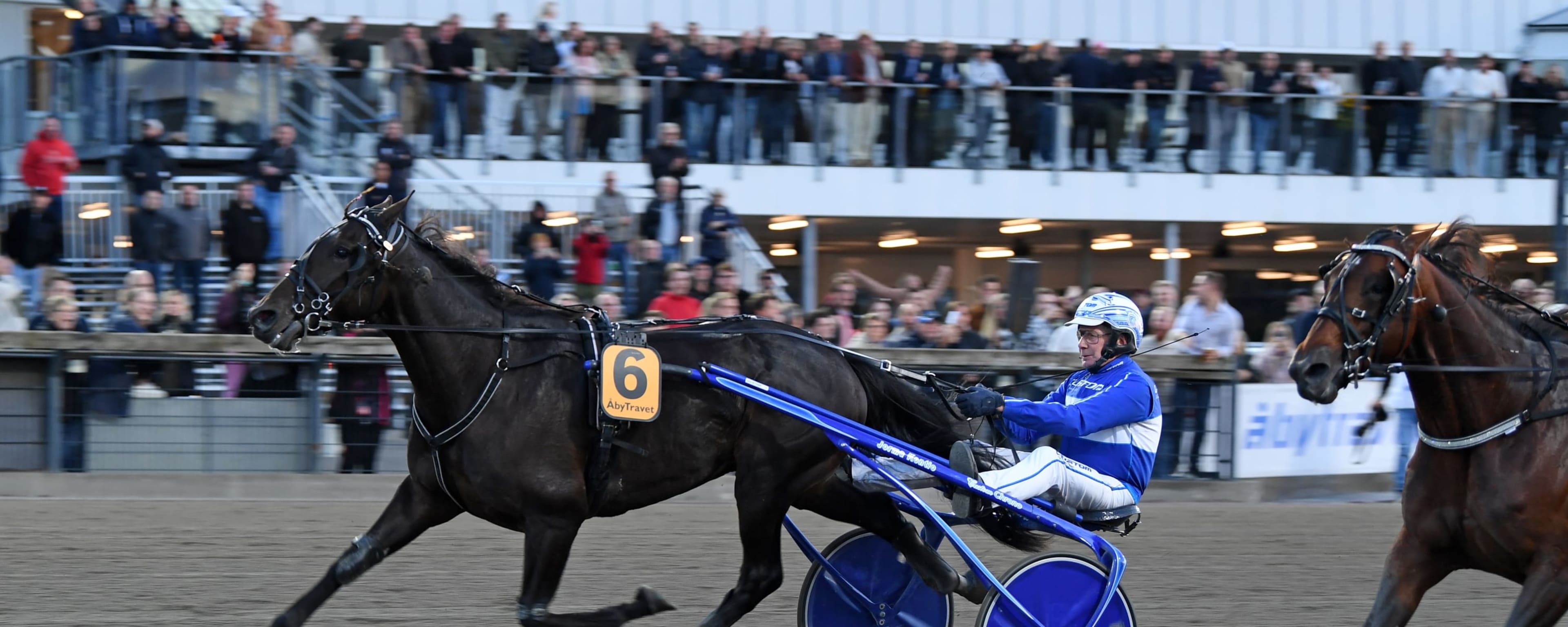 Foto: MALIN ALBINSSON / TR BILD