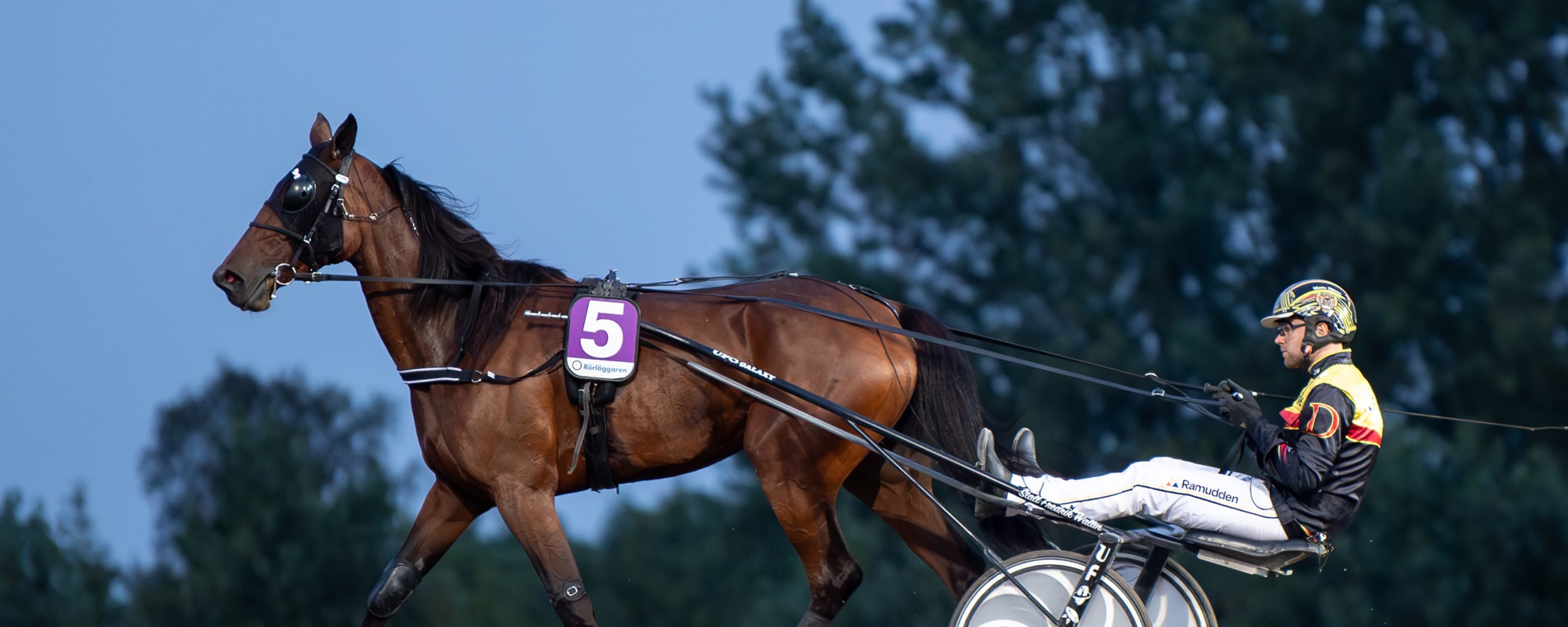 Foto: MIKAEL ROSENQUIST / TR BILD
