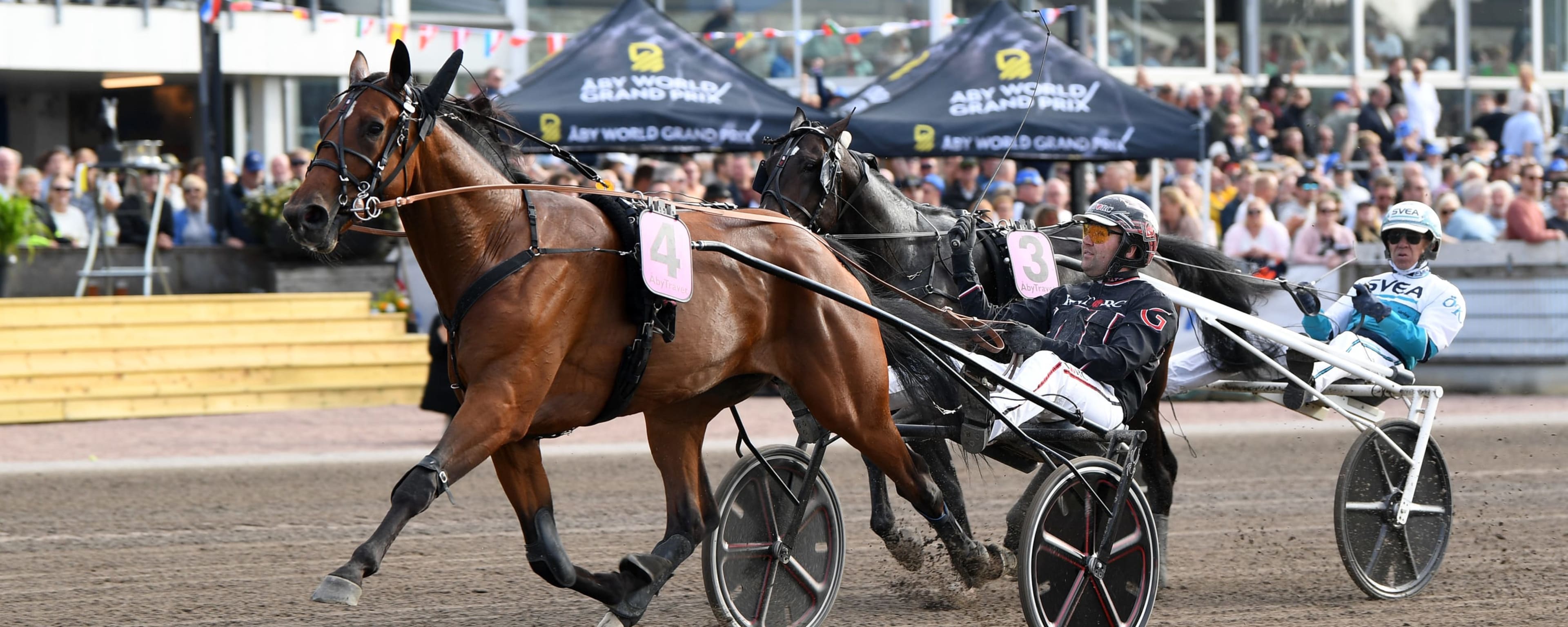 Foto: MALIN ALBINSSON / TR BILD