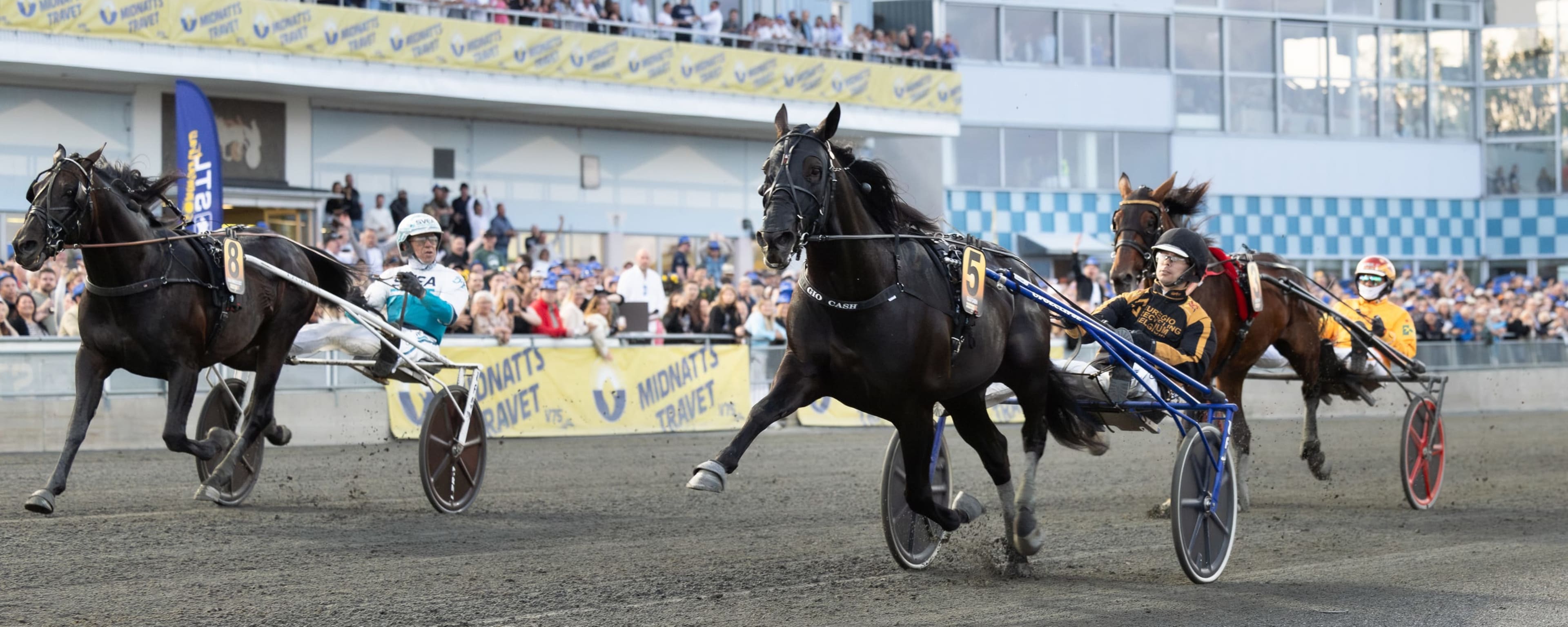 Foto: LENA EMMOTH / TR BILD