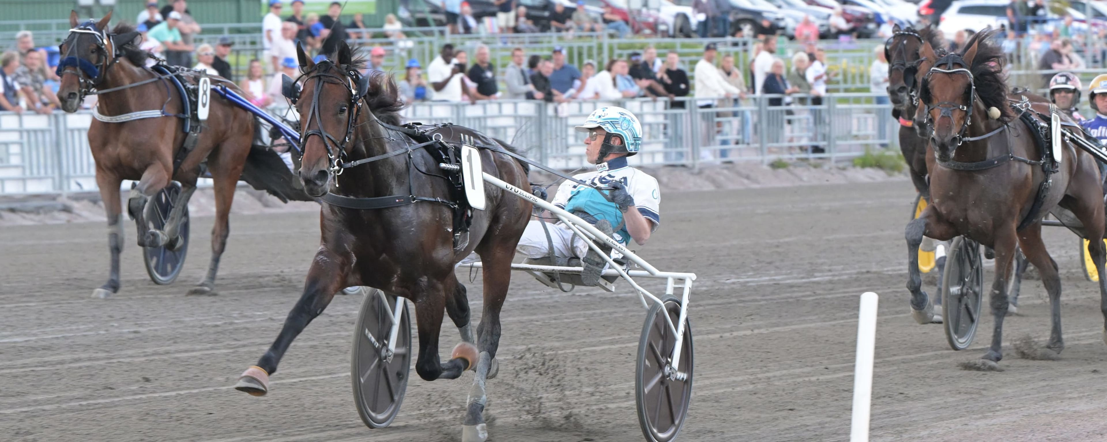Foto: LARS JAKOBSSON / TR BILD