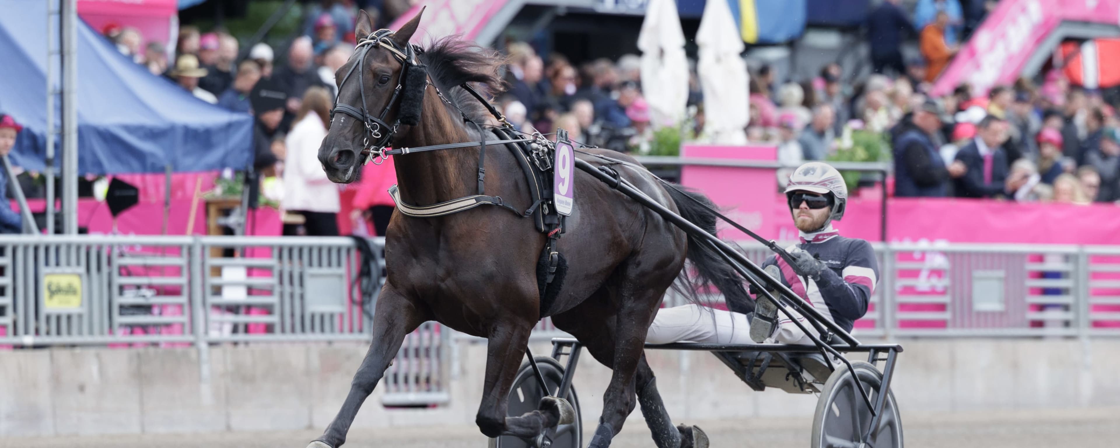 Foto: LENA EMMOTH / TR BILD