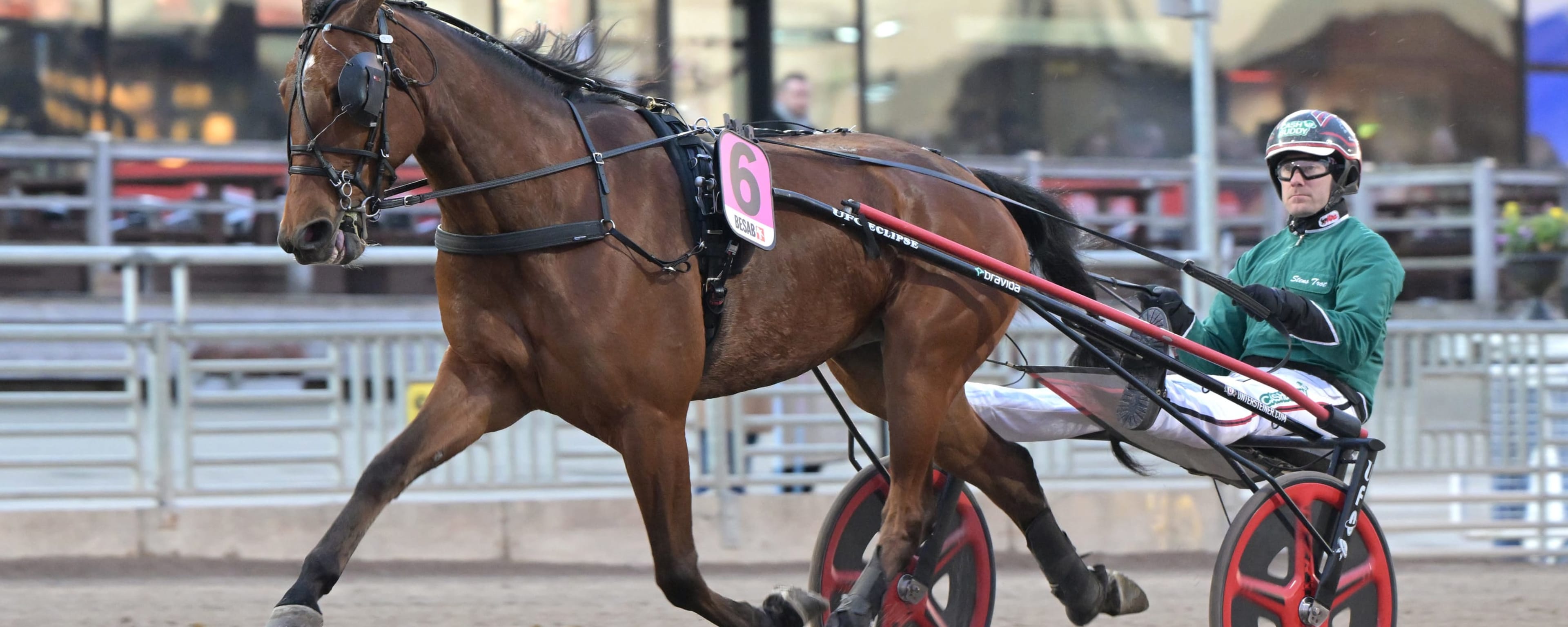 Foto: LARS JAKOBSSON / TR BILD