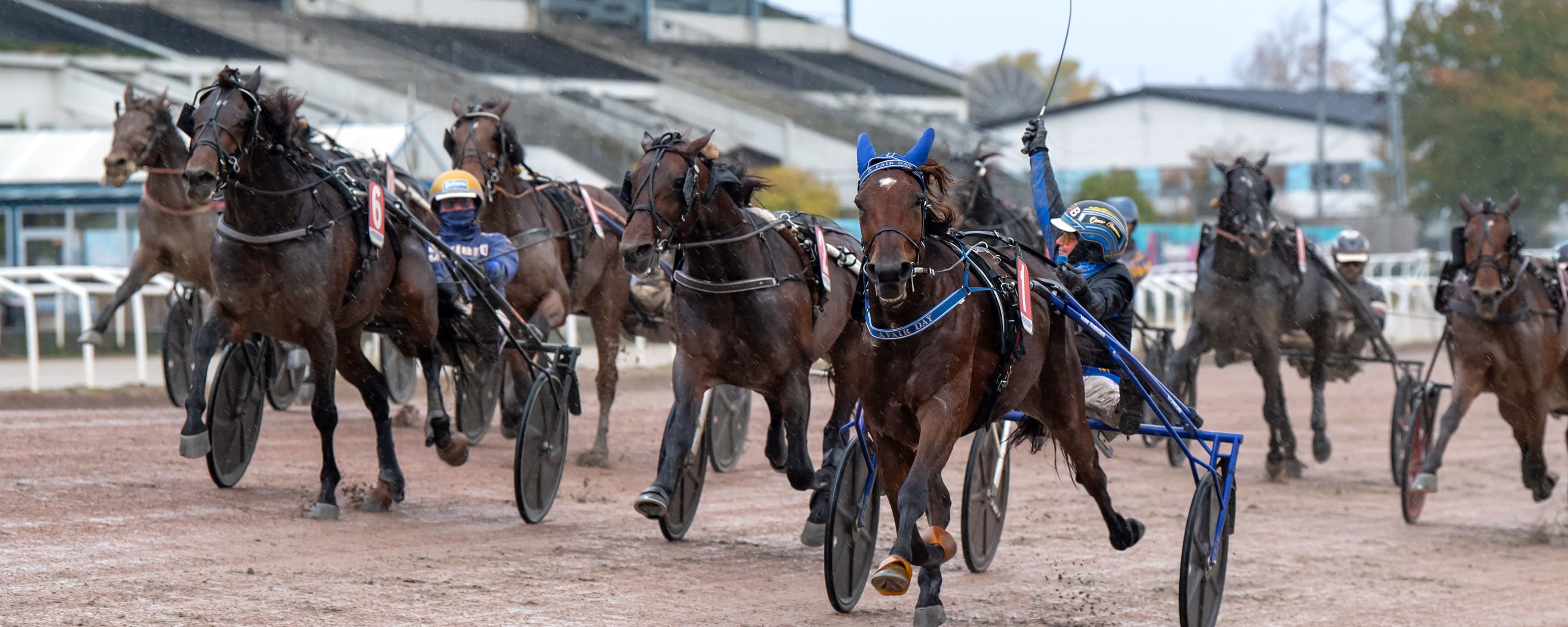 Foto: MIKAEL ROSENQUIST / TR BILD