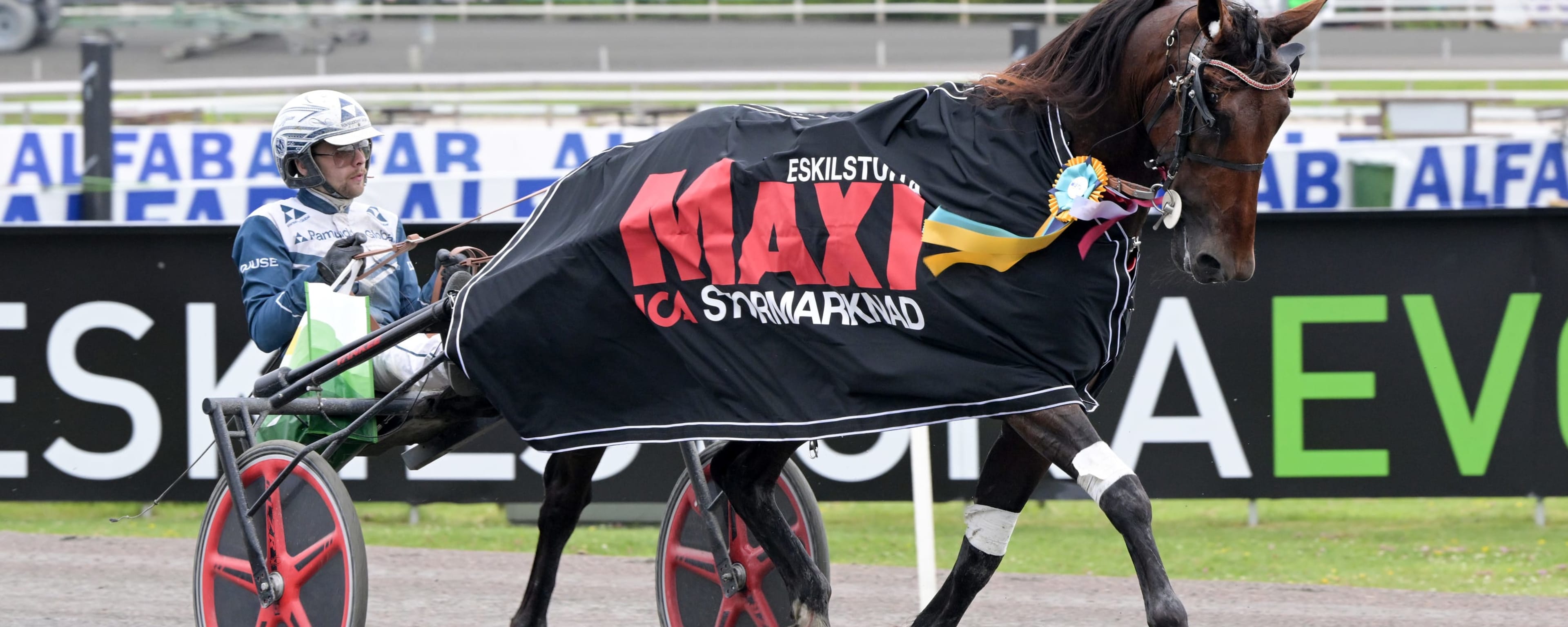 Foto: LARS JAKOBSSON / TR BILD
