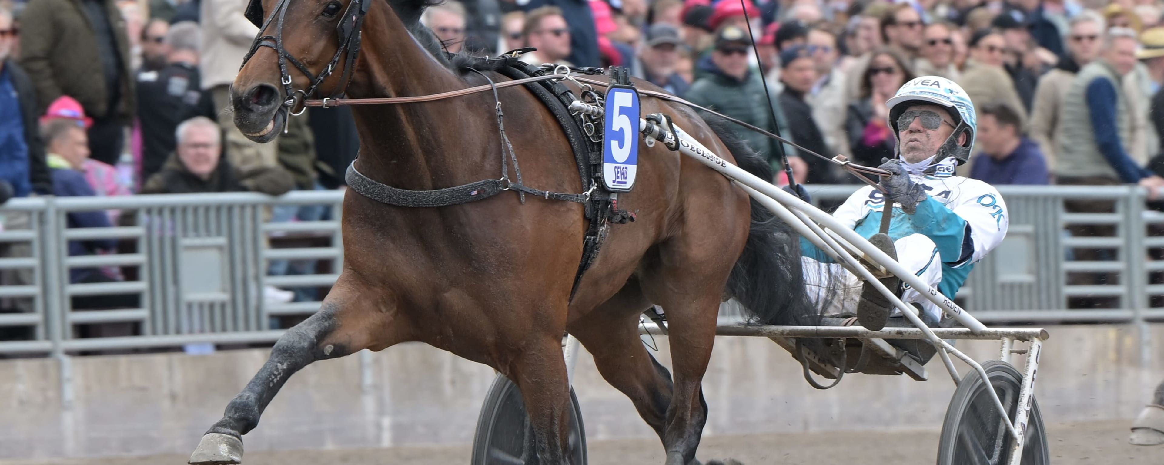 Foto: LARS JAKOBSSON / TR BILD