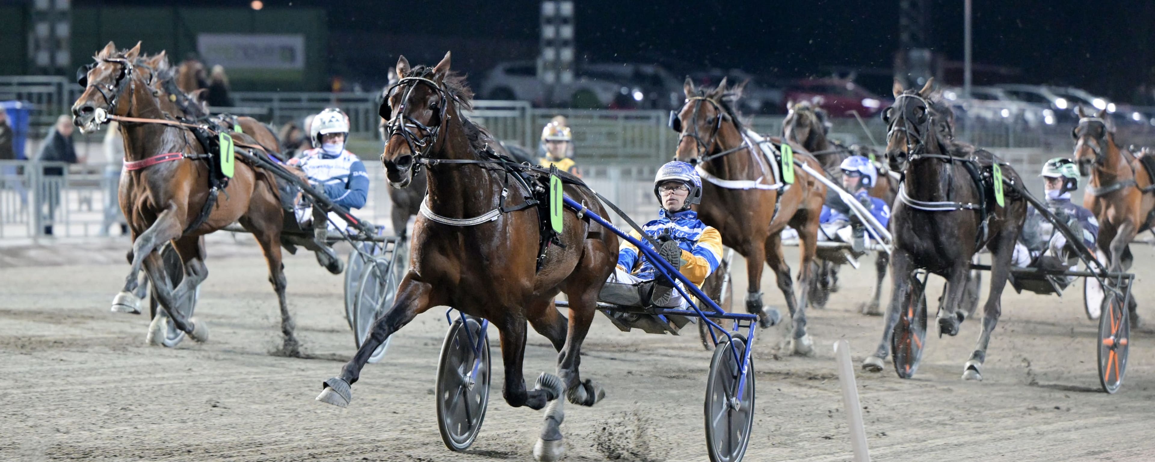 Foto: LARS JAKOBSSON / TR BILD