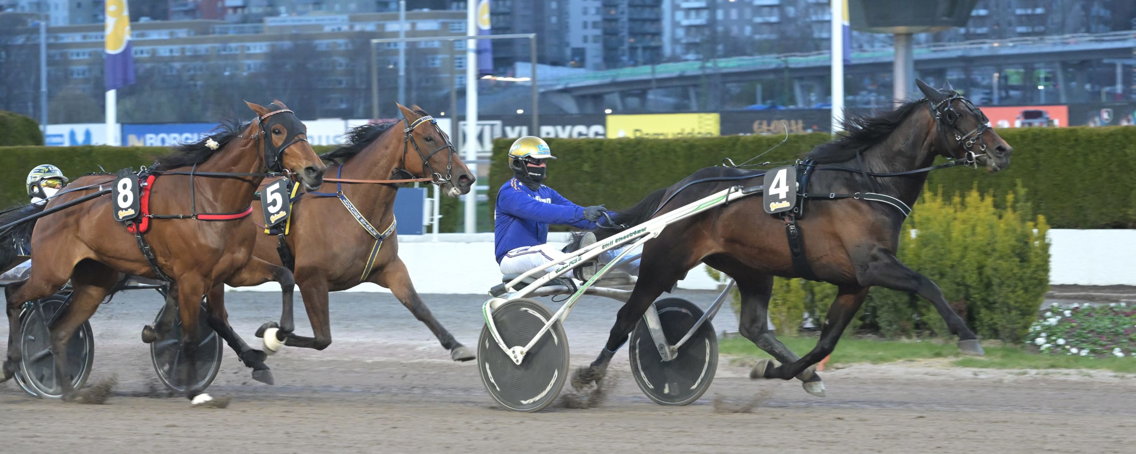 Foto: LARS JAKOBSSON / TR BILD