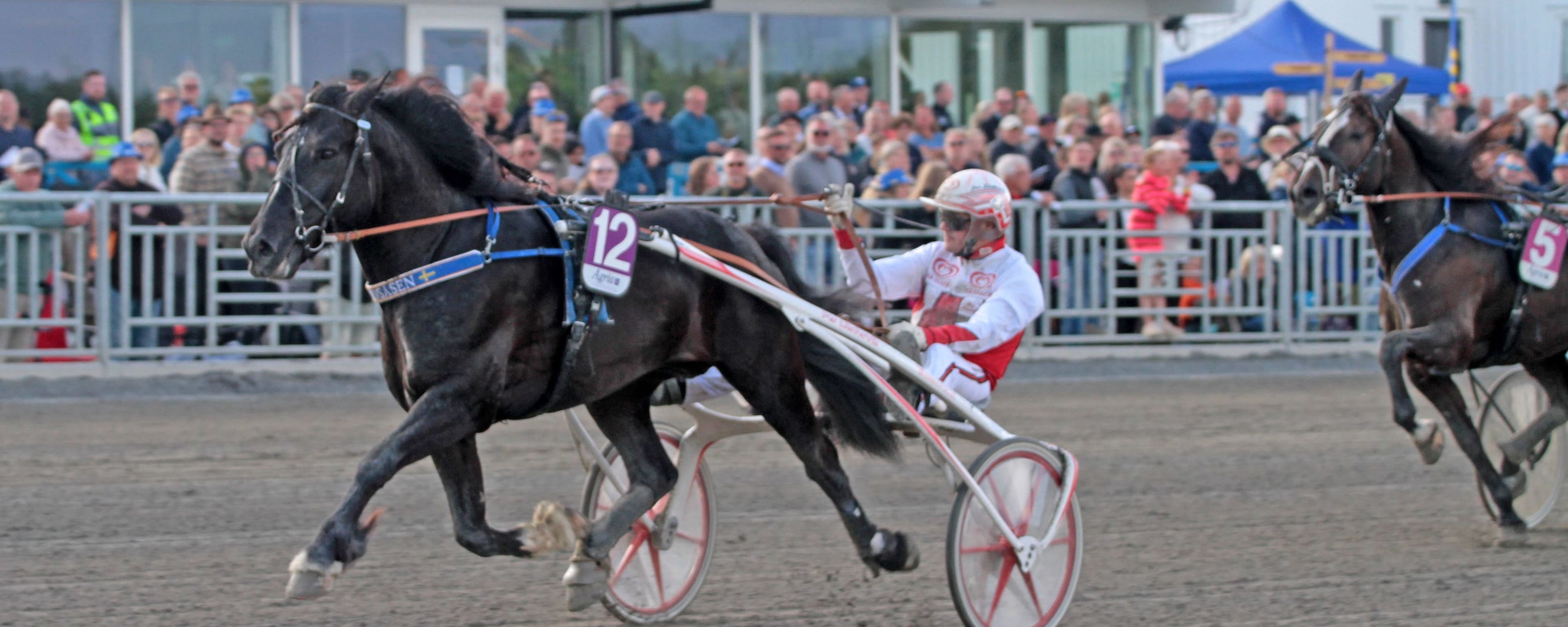 Foto: TOM JÖNEHAG