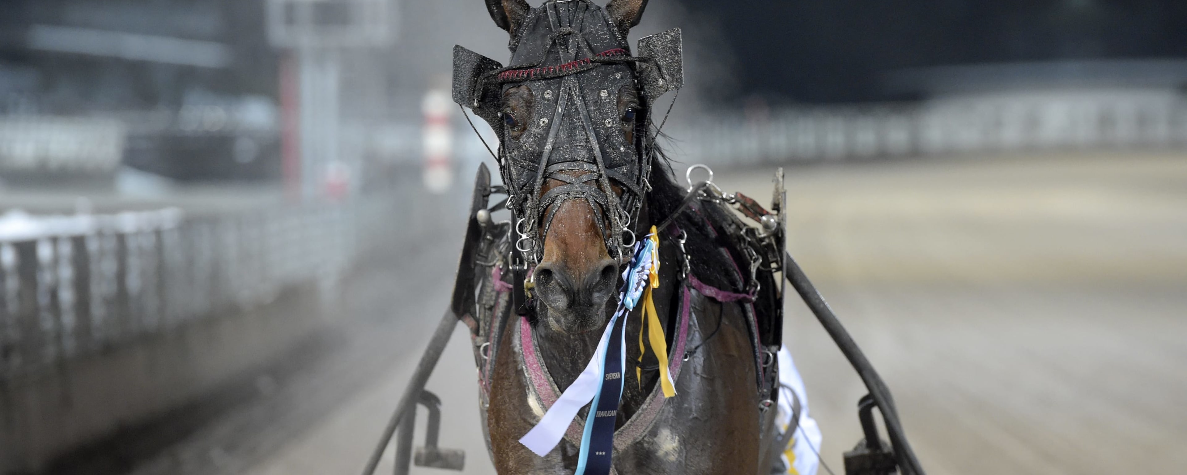 Foto: LARS JAKOBSSON / TR BILD