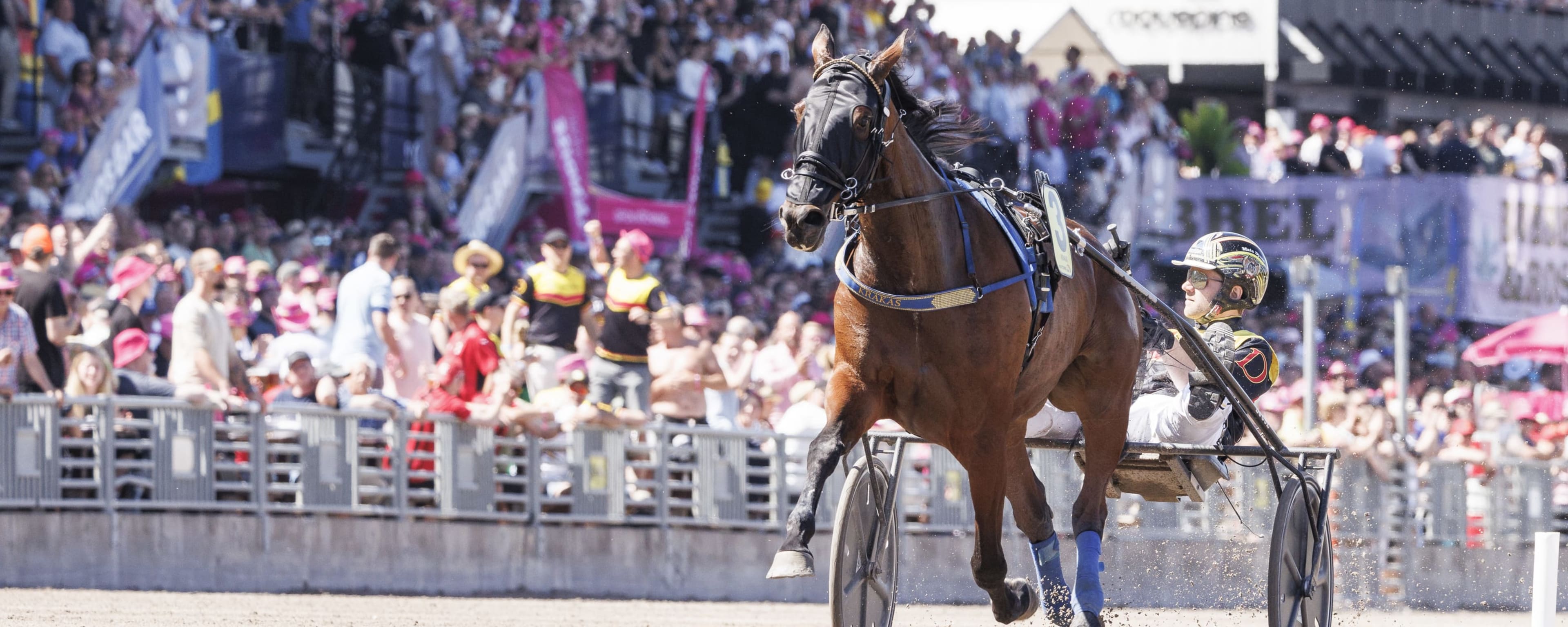 Foto: LENA EMMOTH / TR BILD