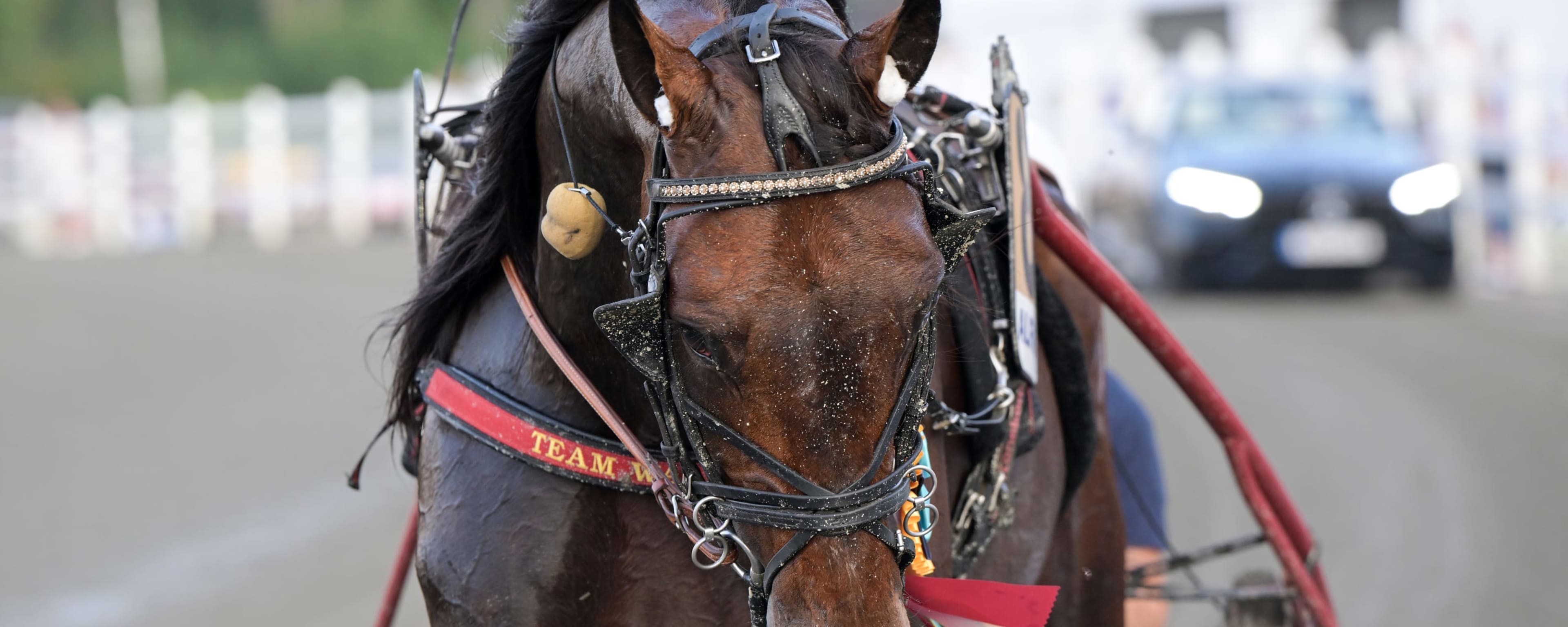 Foto: LARS JAKOBSSON / TR BILD